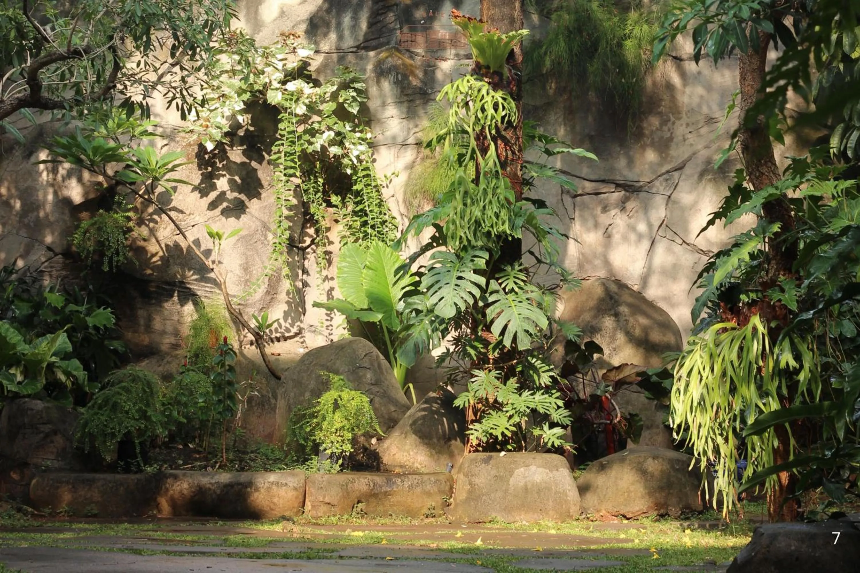 Garden in Bale Ocasa by Behomy