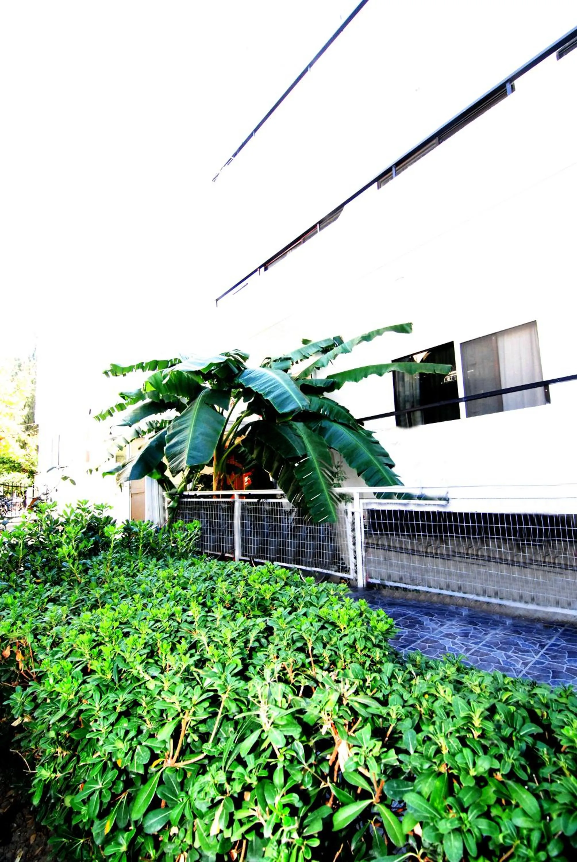 Property building in Aegeon Hotel - Adults Only