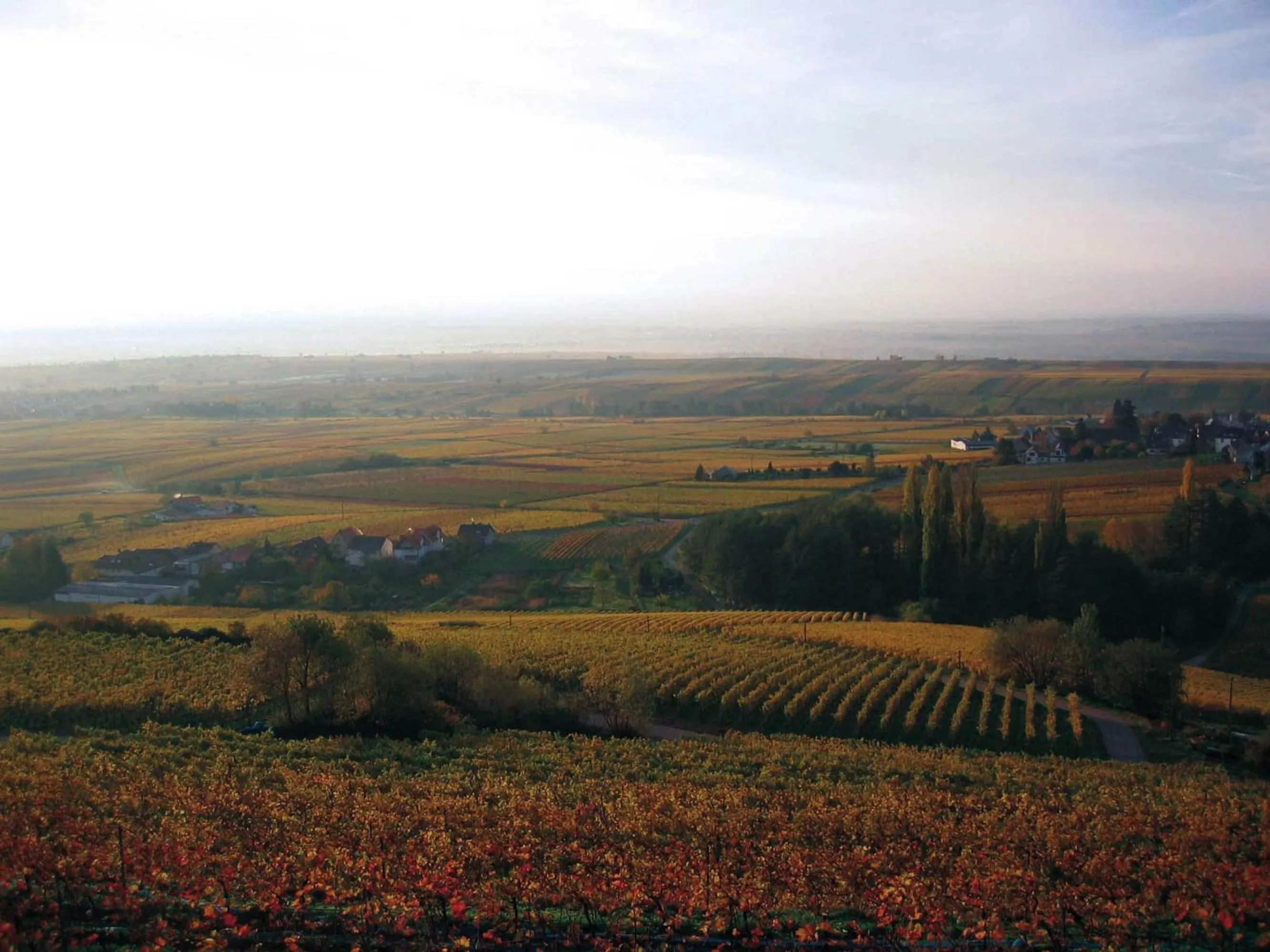 View (from property/room) in Sankt Annagut