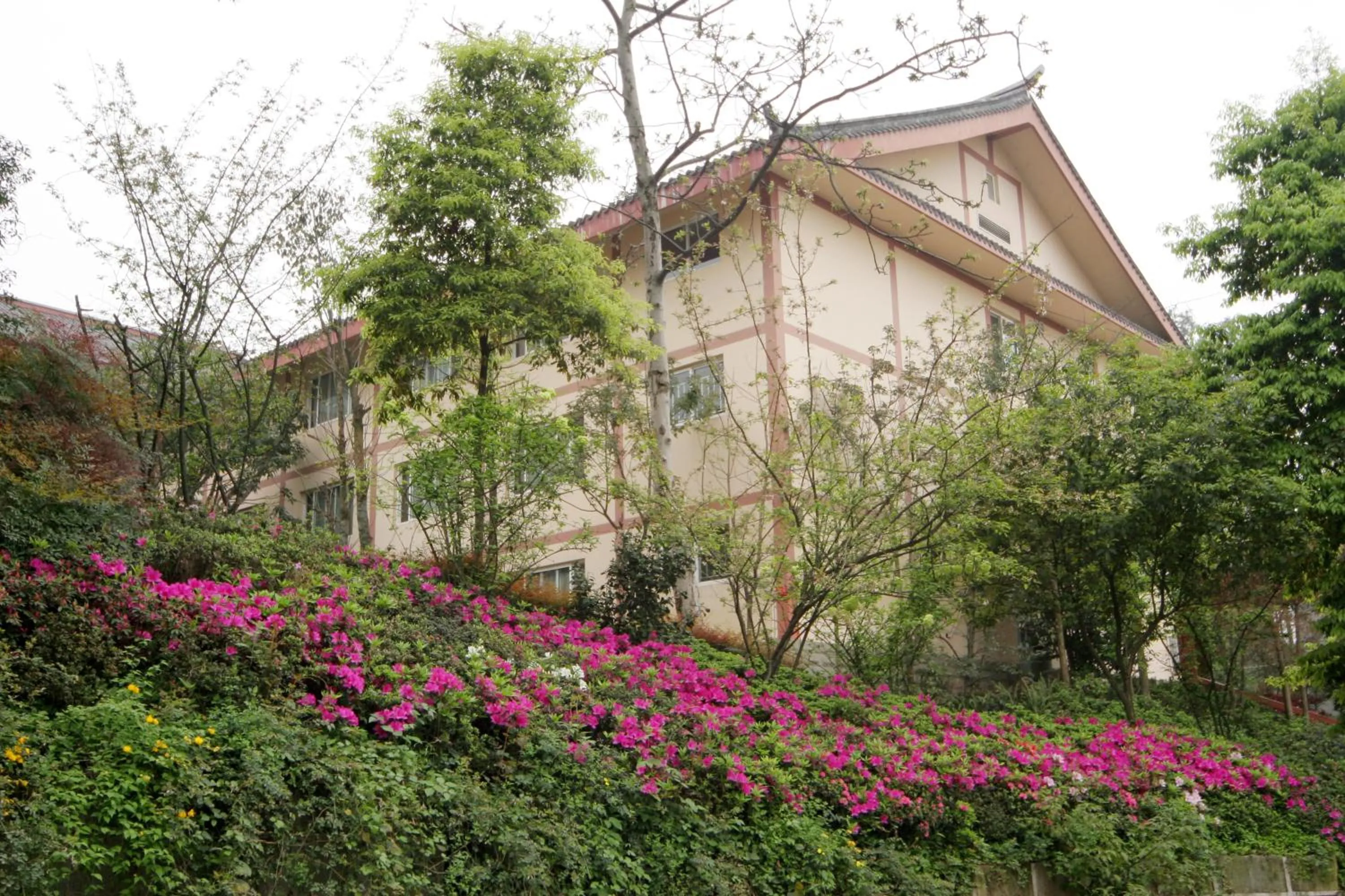 Bird's eye view in E-mei Mountain Hotel