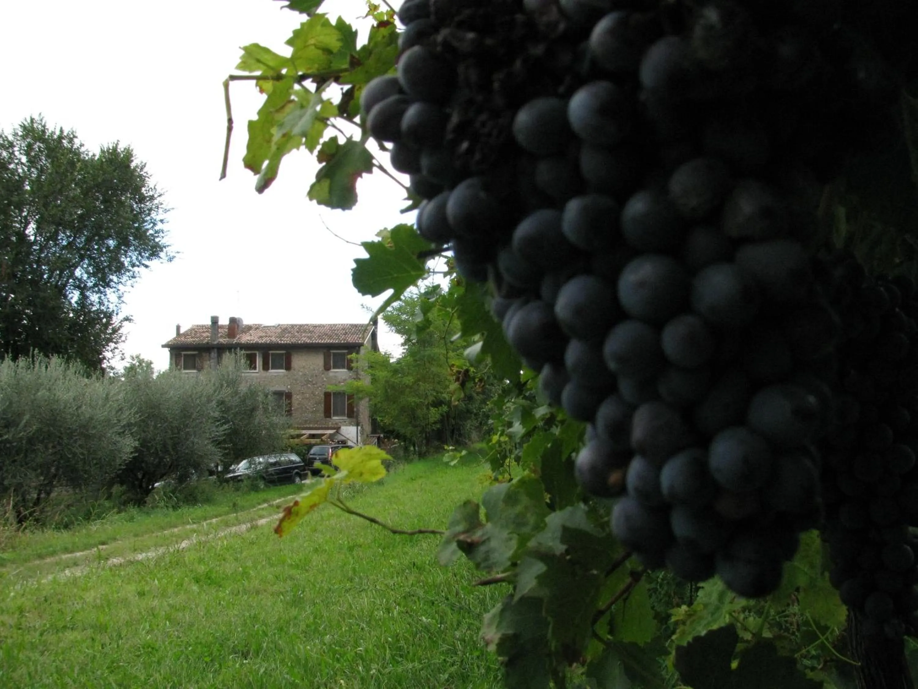 Property building in I Vigneti Bed & Breakfast