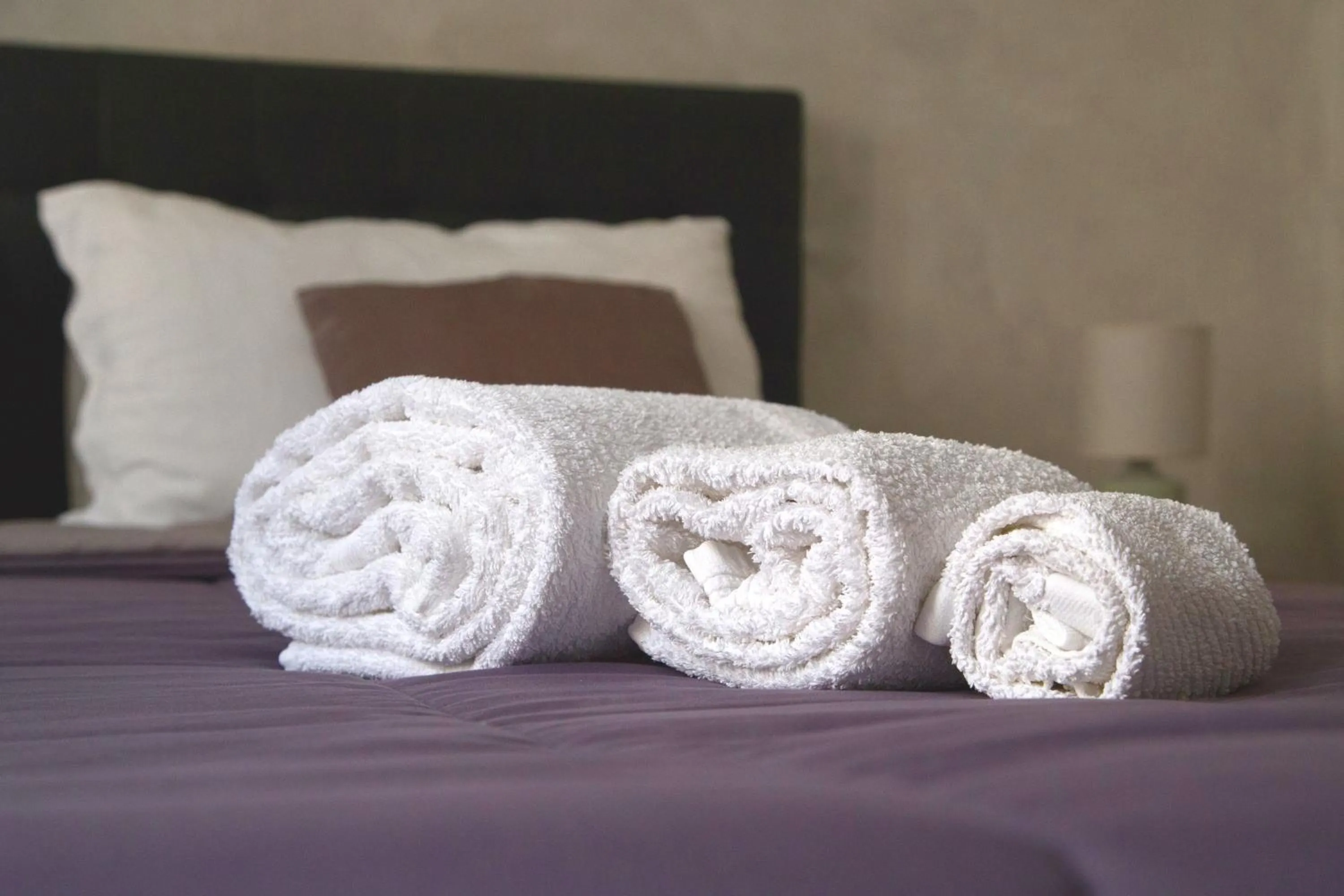 Decorative detail, Bed in Domus Gallo Guest House