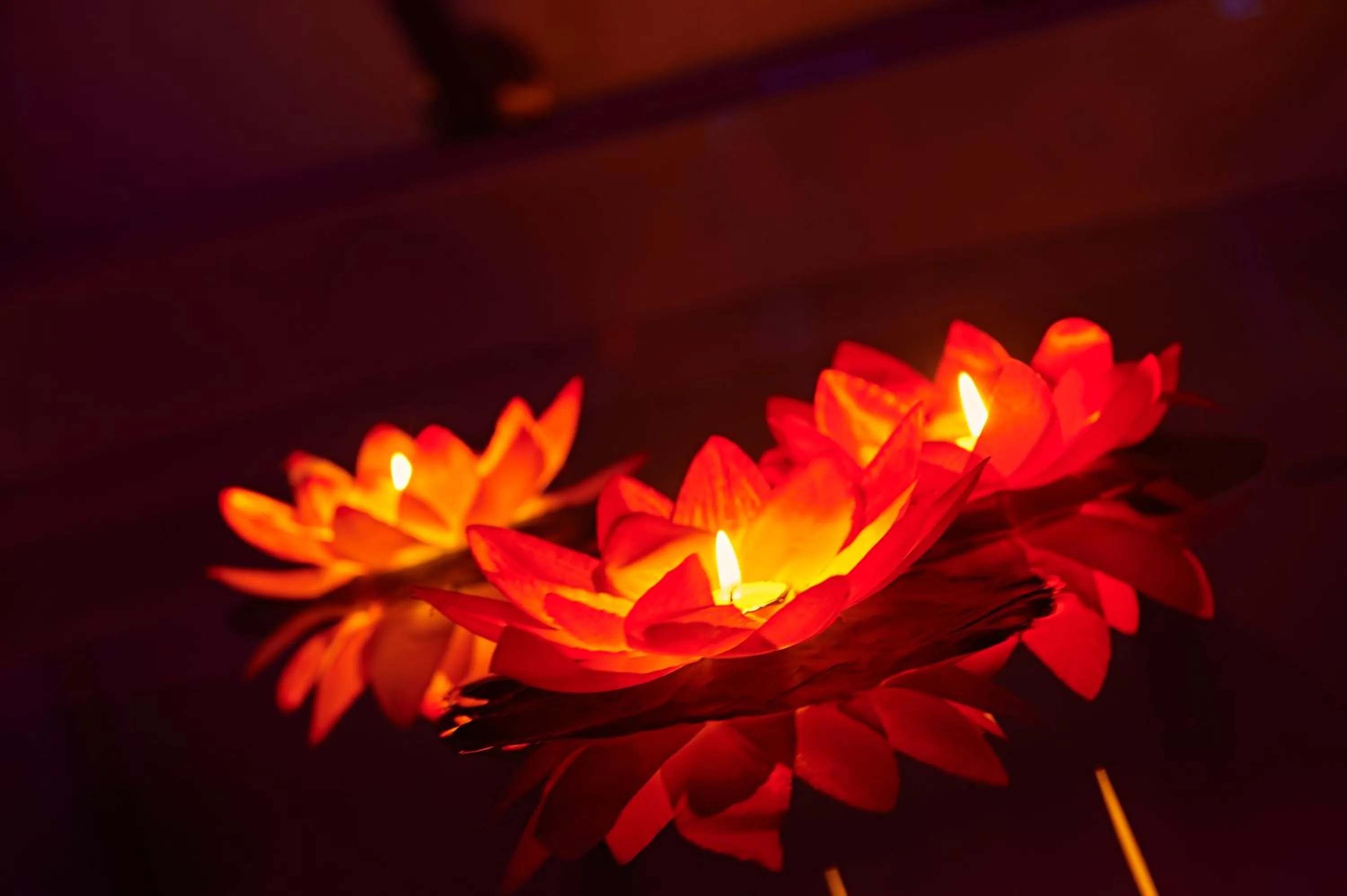 Spa and wellness centre/facilities in Aleksandr