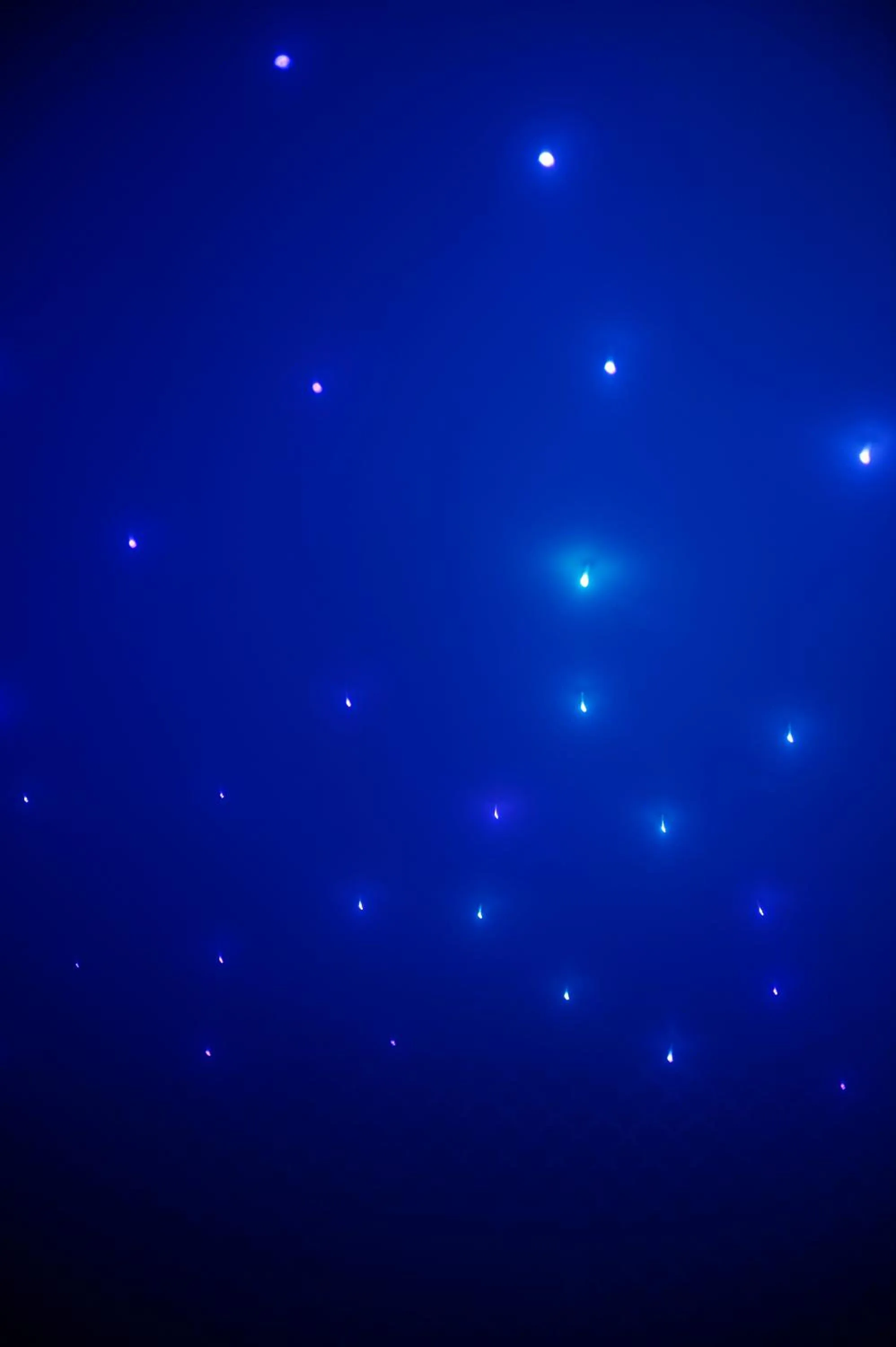 Steam room in Aleksandr