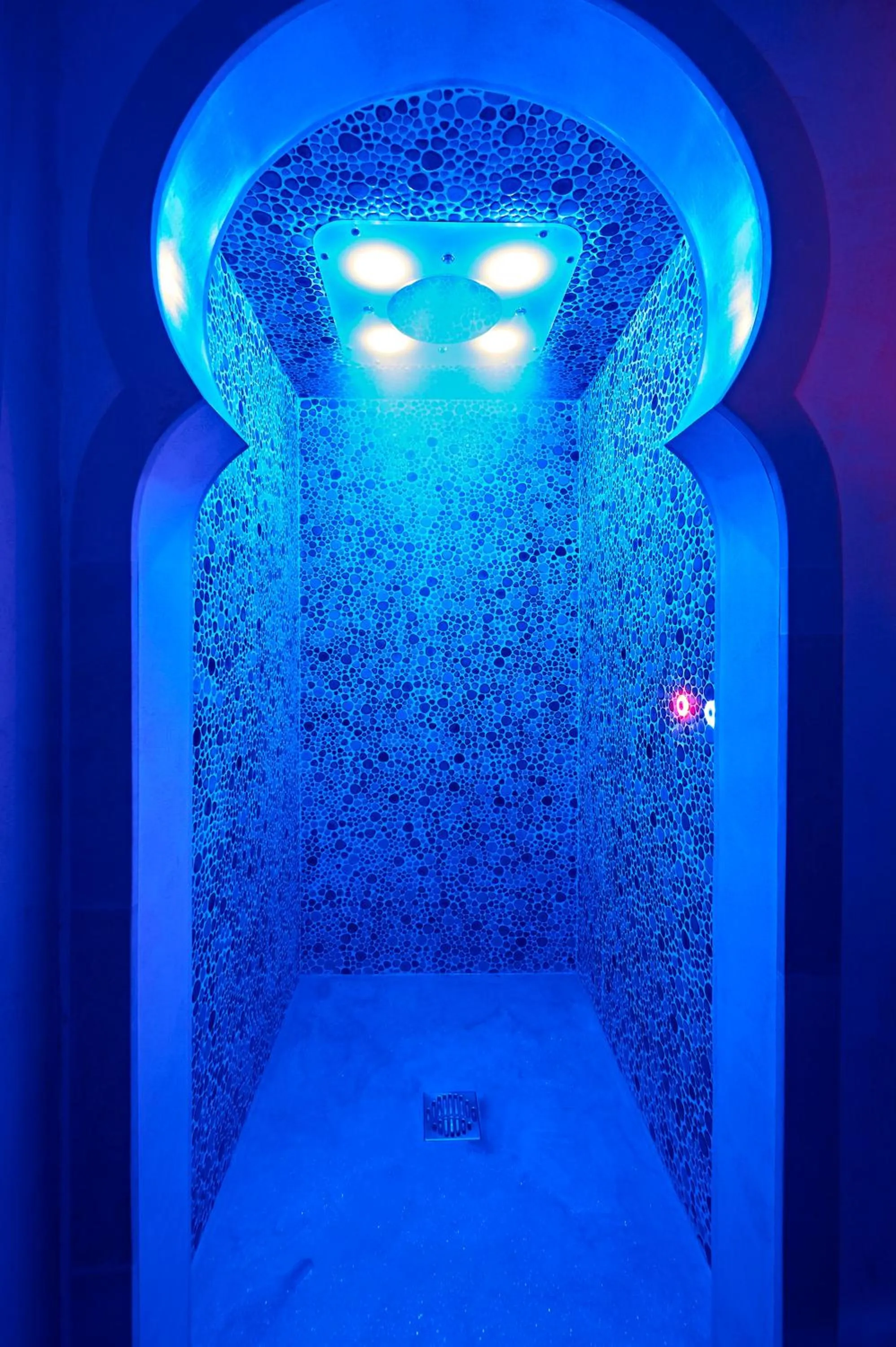 Spa and wellness centre/facilities in Aleksandr