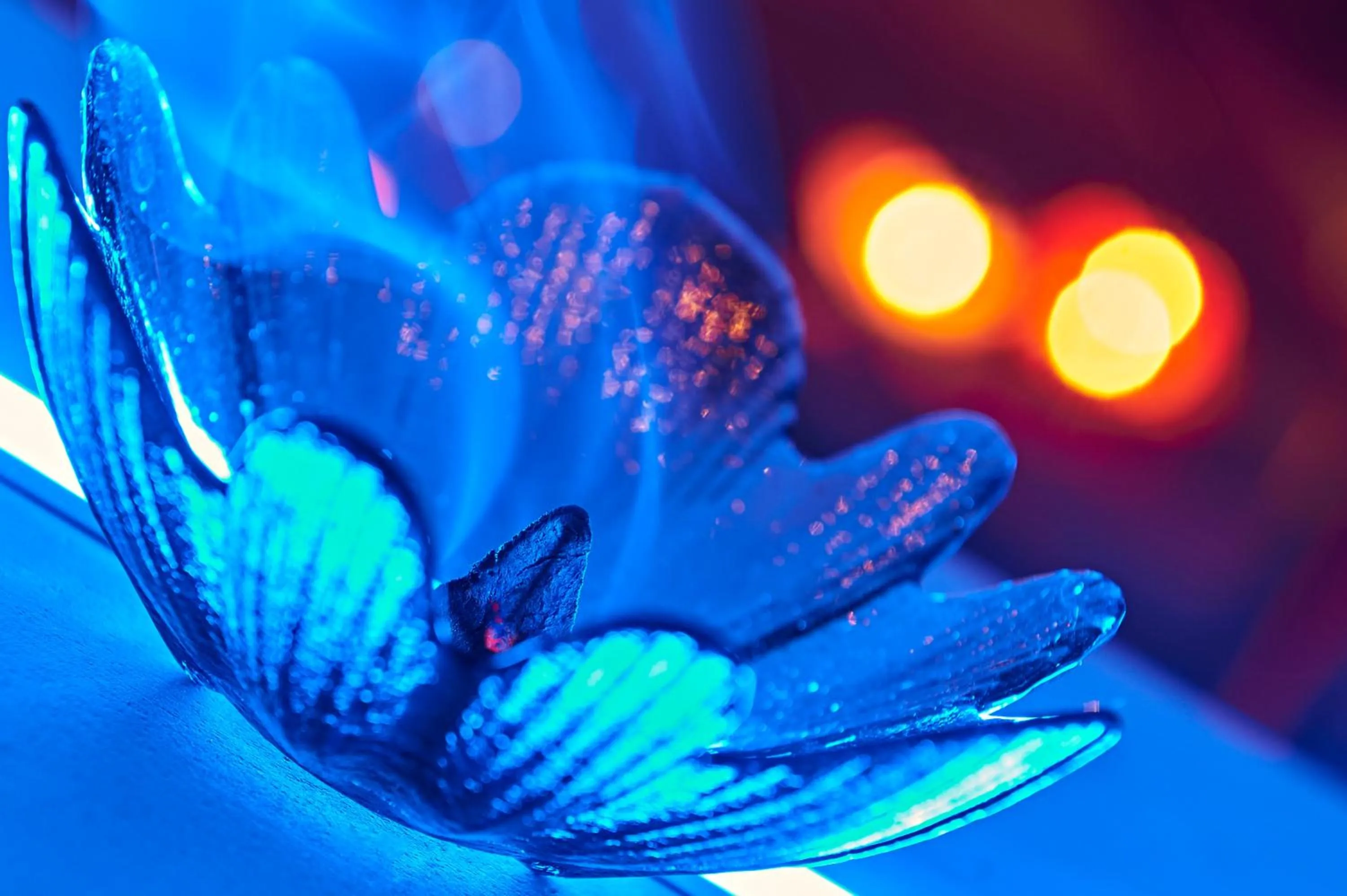 Spa and wellness centre/facilities in Aleksandr