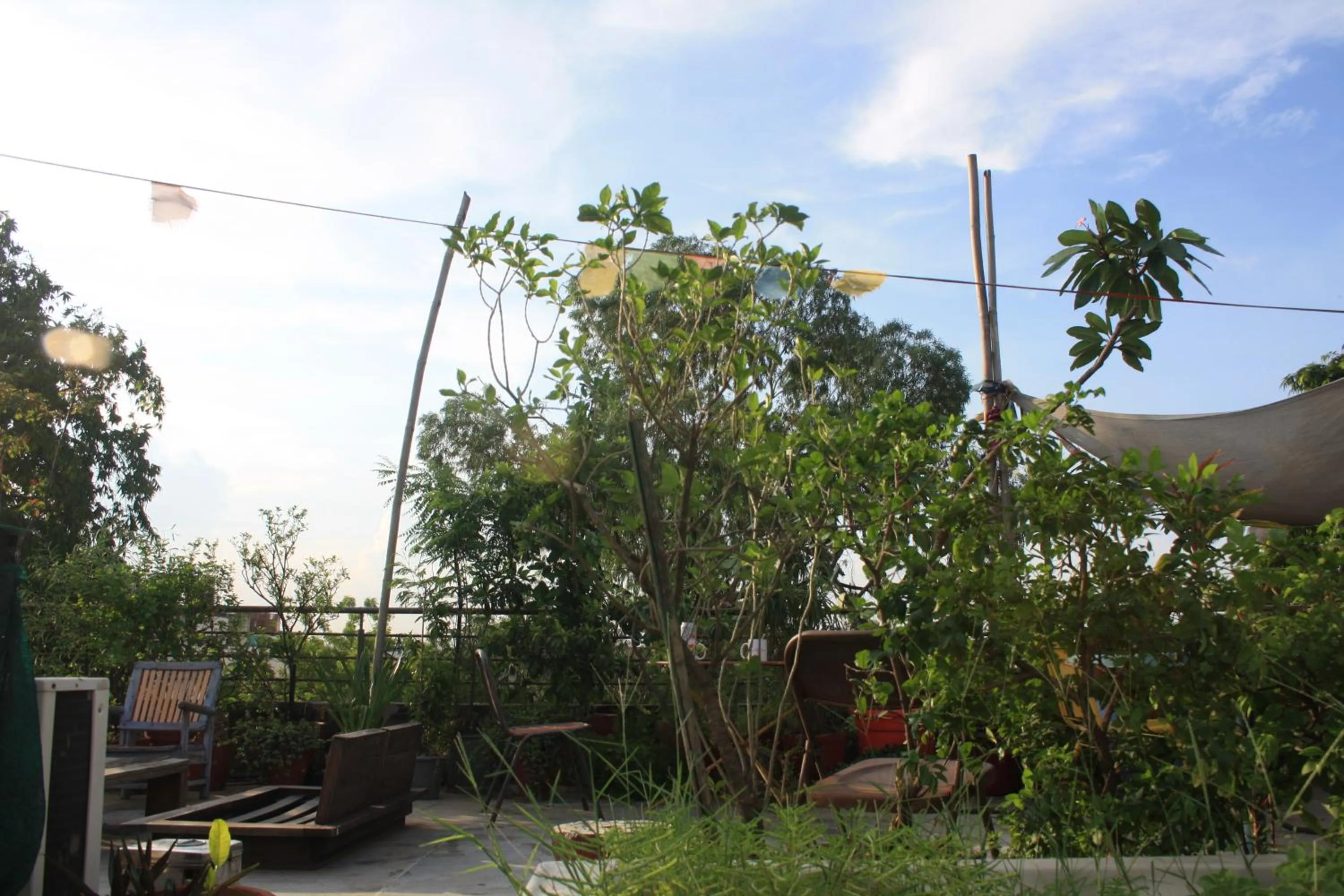 Garden in Bed & Chai Guesthouse