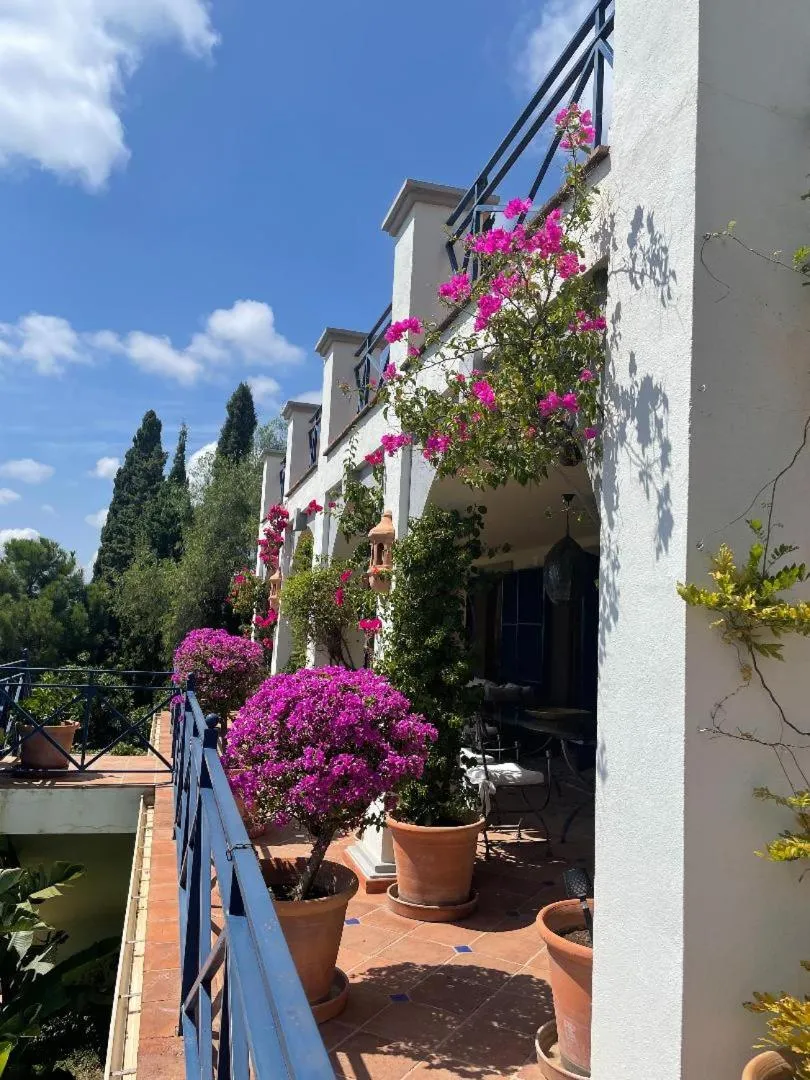Balcony/Terrace in Boutique Hotel Maravilla - Marbella