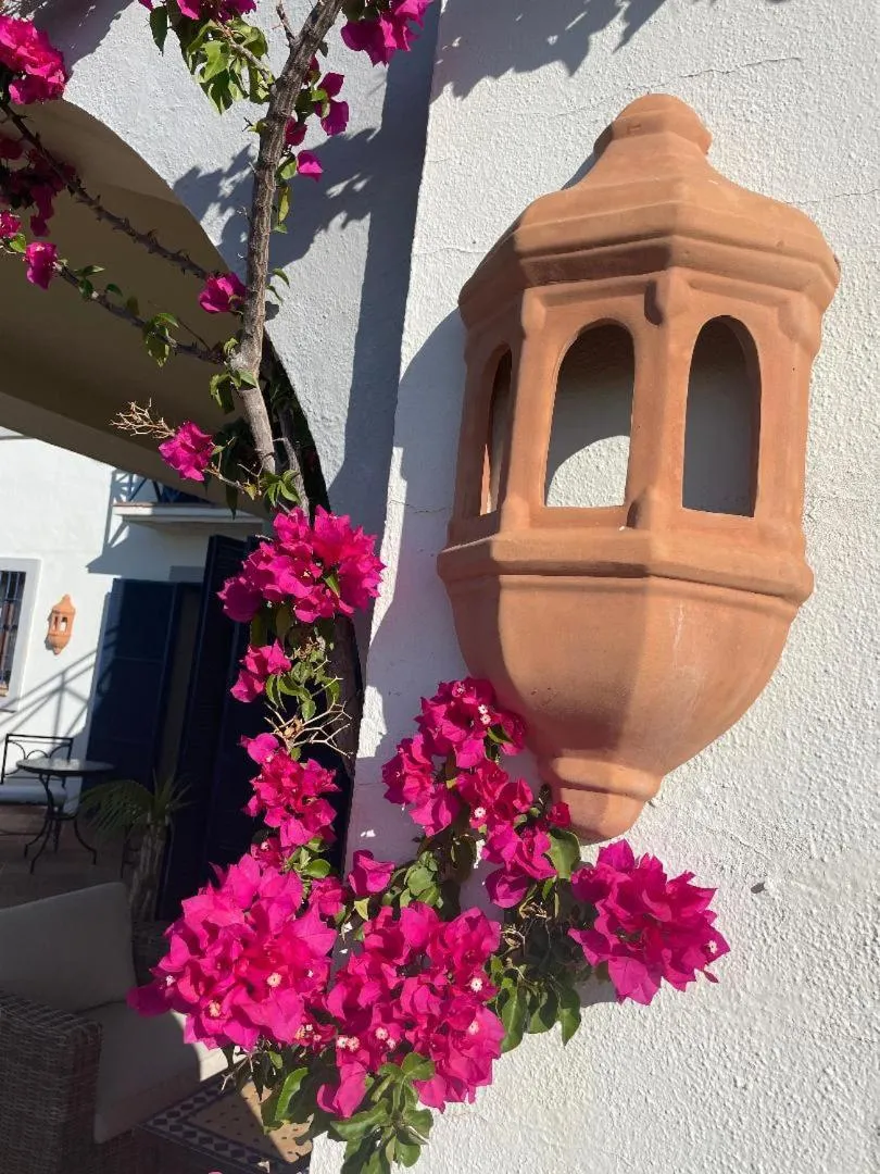 Balcony/Terrace in Boutique Hotel Maravilla - Marbella
