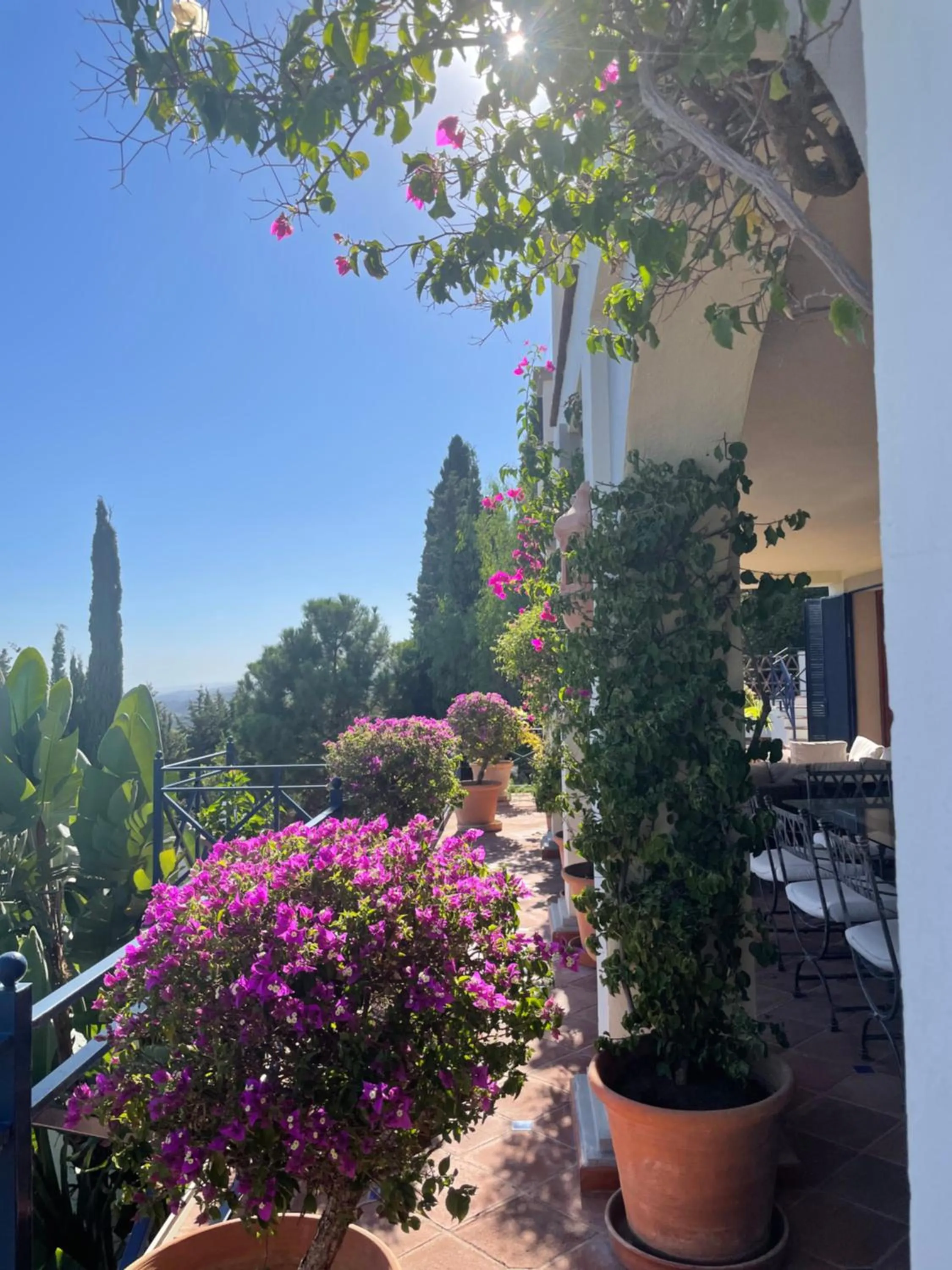 Balcony/Terrace in Boutique Hotel Maravilla - Marbella