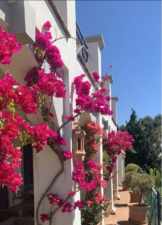 Balcony/Terrace in Boutique Hotel Maravilla - Marbella