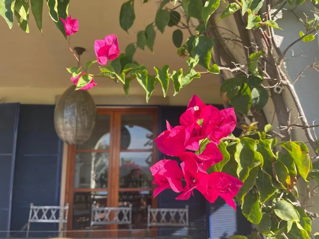 Balcony/Terrace in Boutique Hotel Maravilla - Marbella