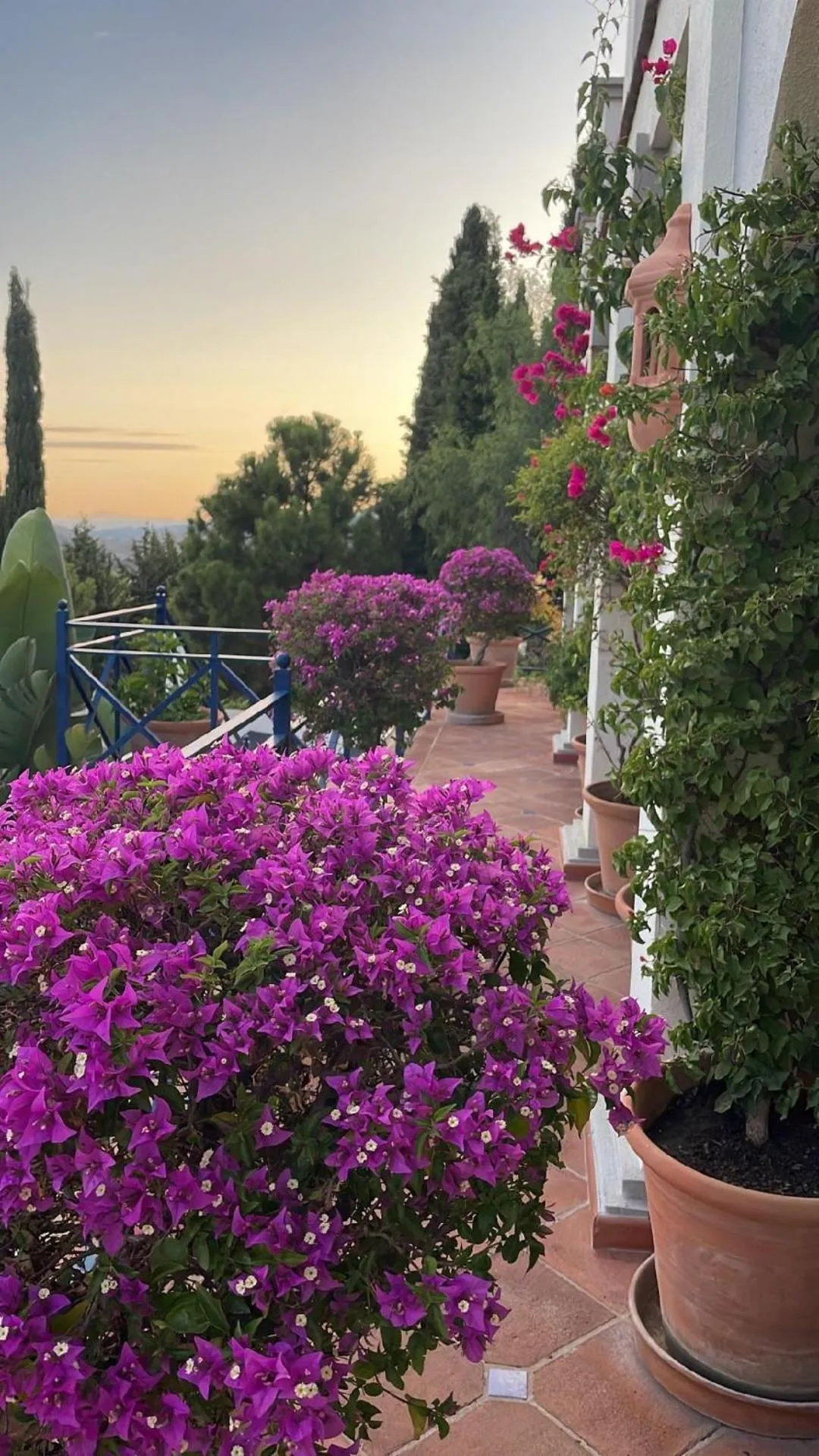 Balcony/Terrace in Boutique Hotel Maravilla - Marbella