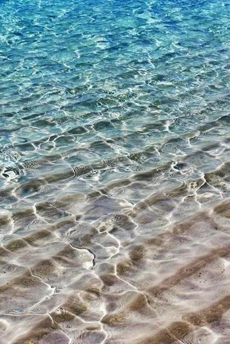 DVLNG 2 Bedroom & Dining Room Apartment