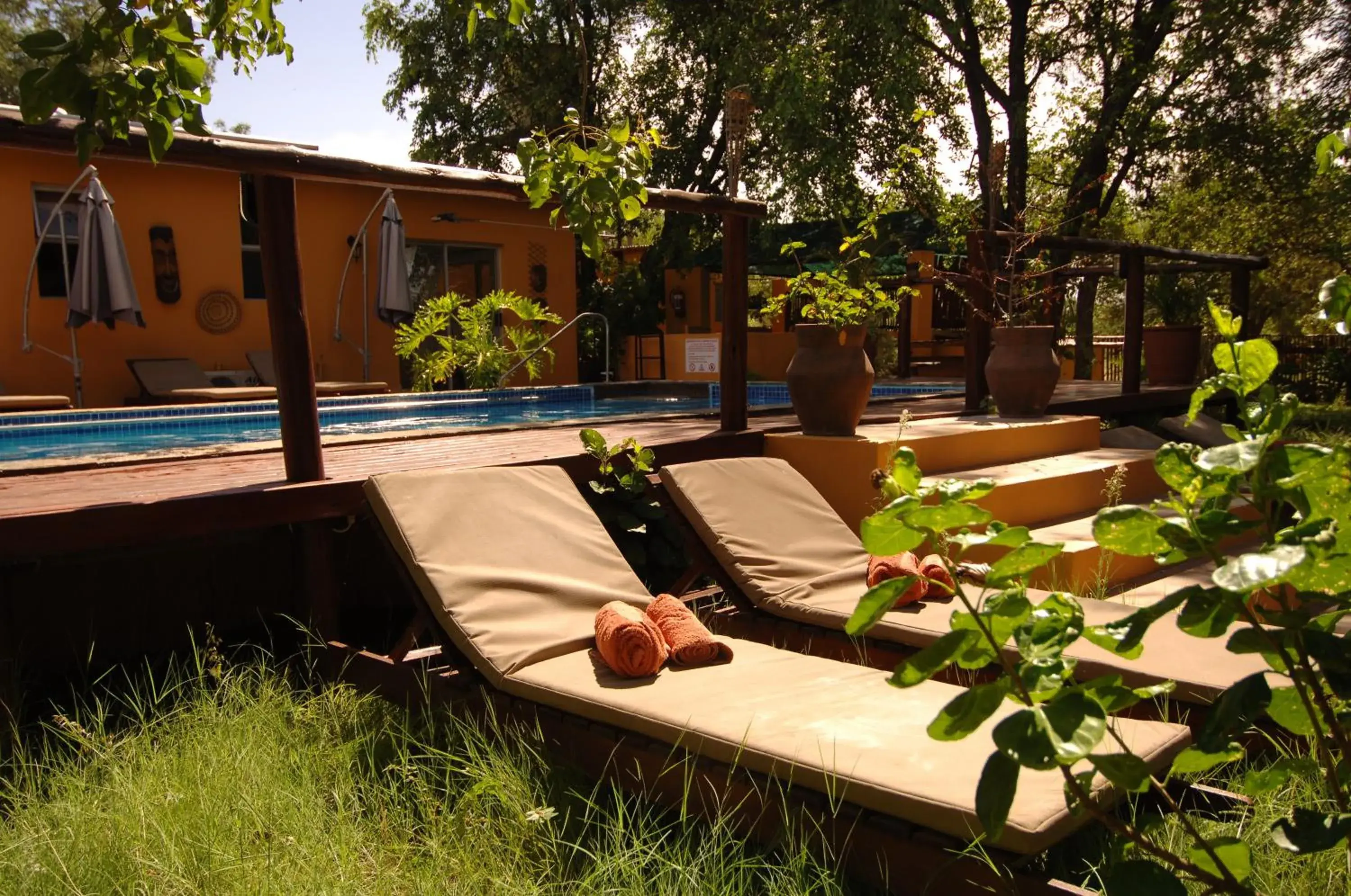 Twin Room - single occupancy - Lion in Normann Safari Bush Lodge Twin Room - single occupancy - Lion in Normann Safari Bush Lodge