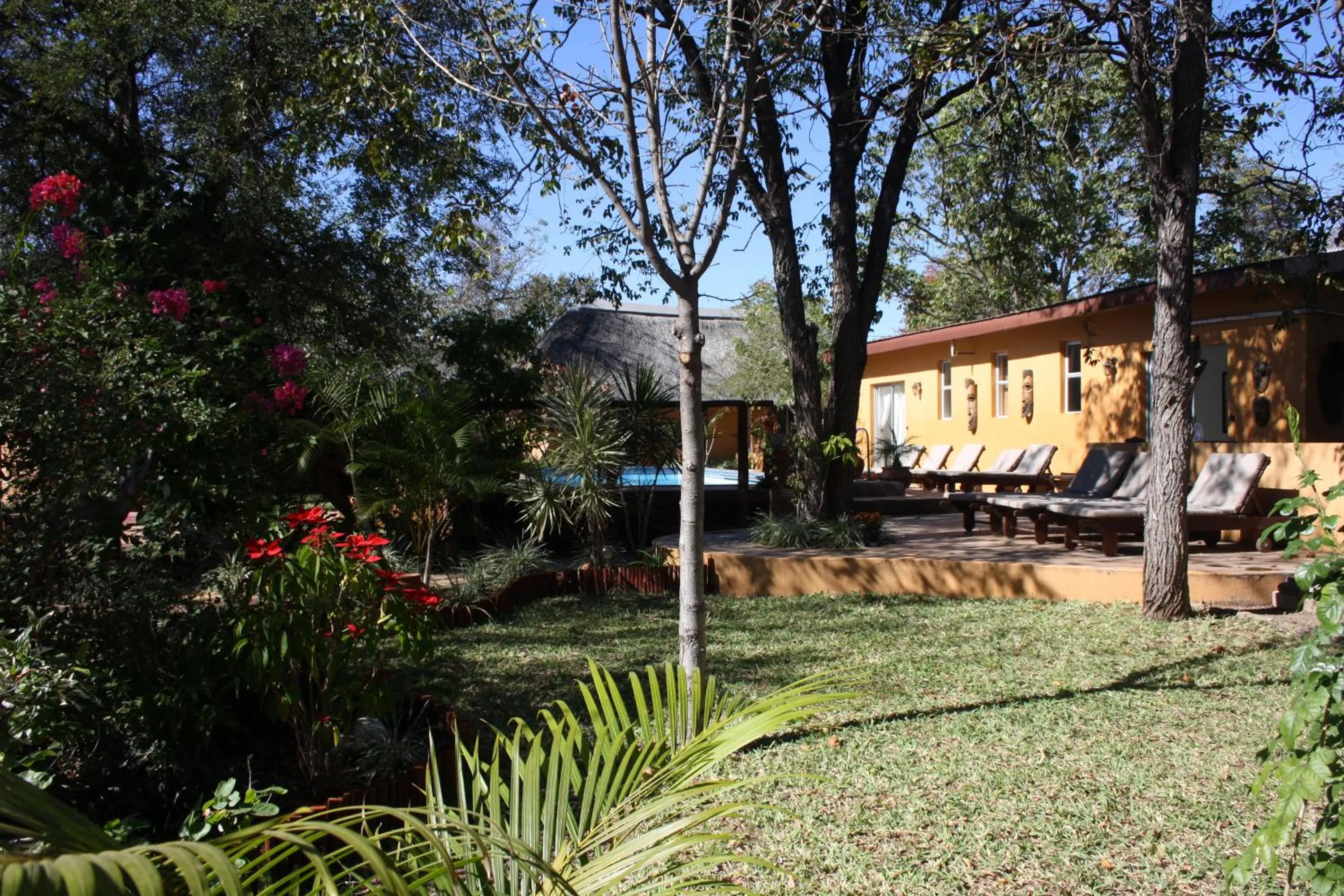 Garden in Normann Safari Bush Lodge