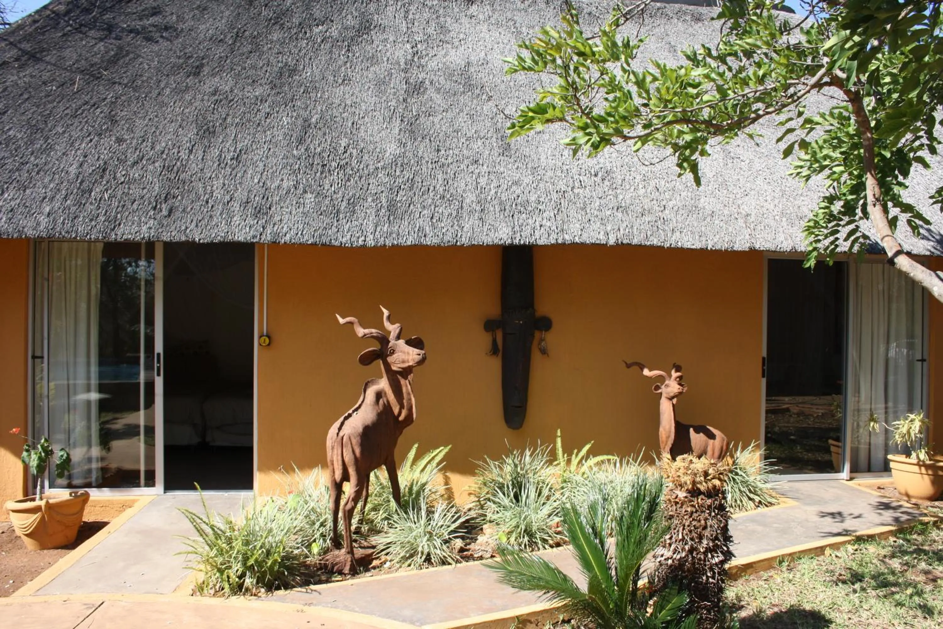 Garden in Normann Safari Bush Lodge