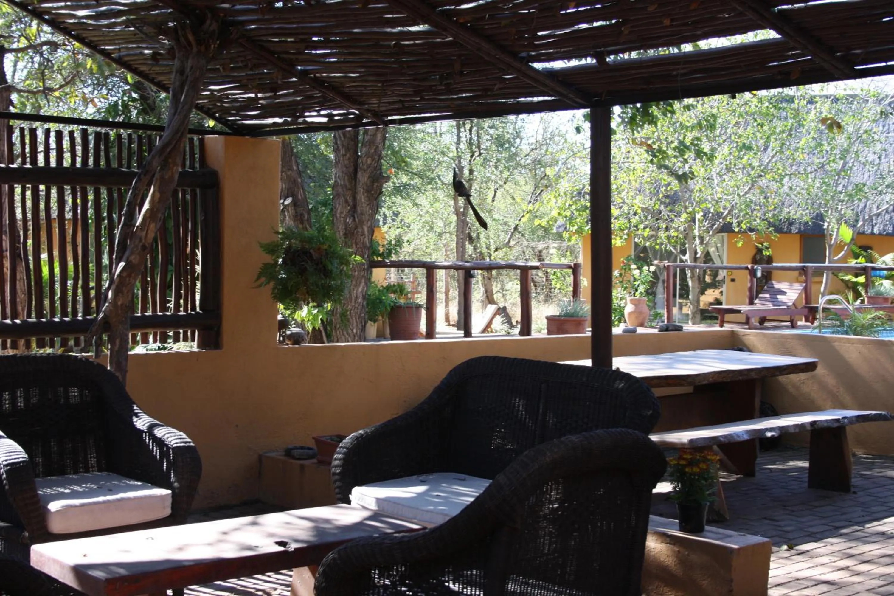 Communal lounge/ TV room in Normann Safari Bush Lodge