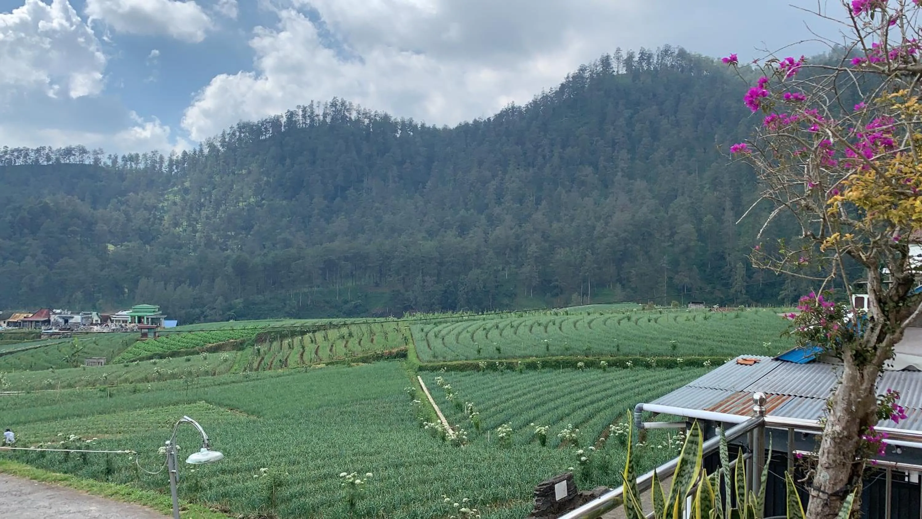 Villa Matahari Tawangmangu powered by Cocotel