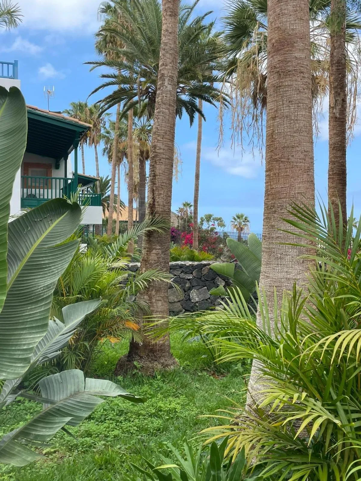 Natural landscape in Hotel Estefania Boutique Suites