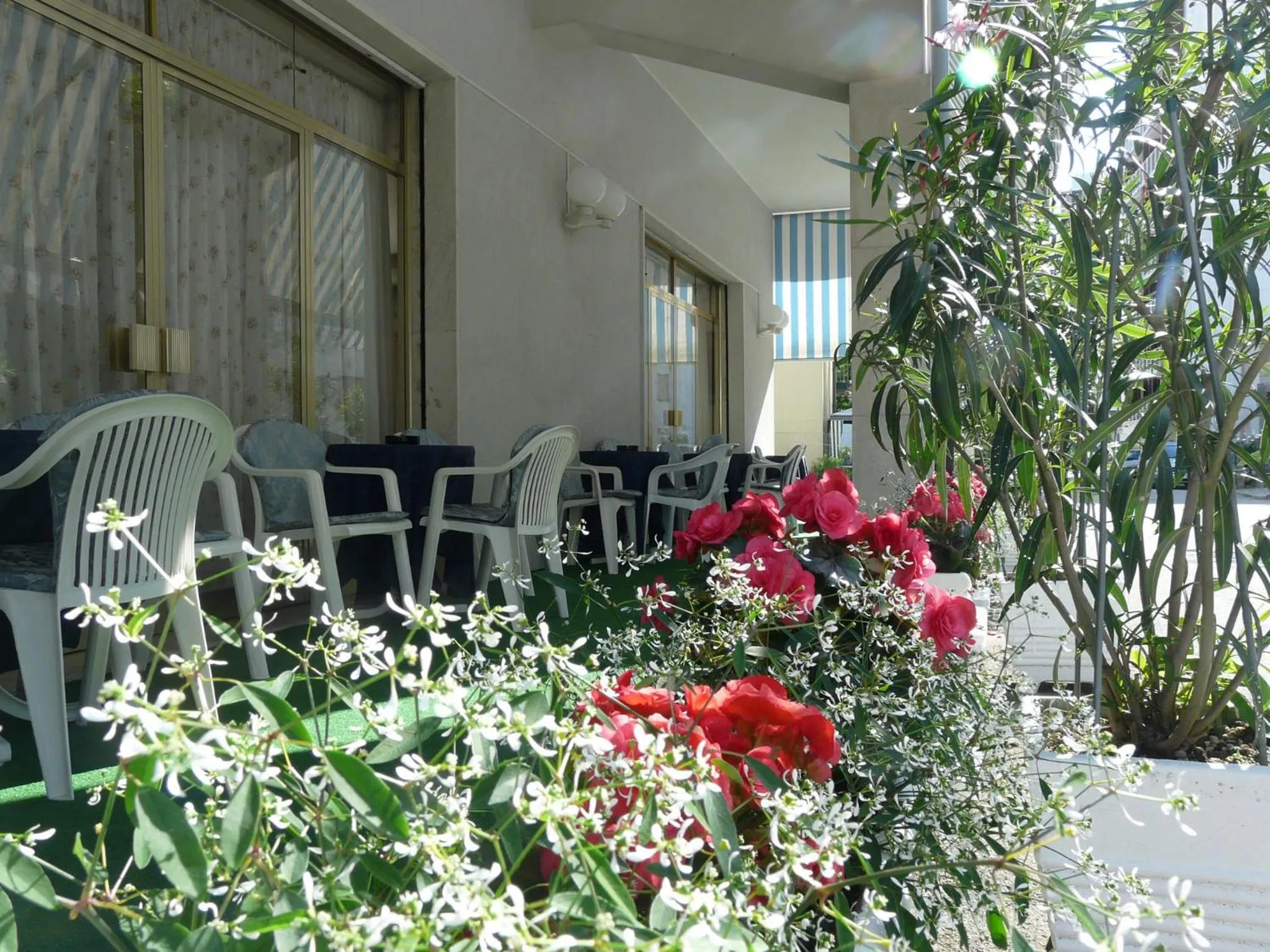 Balcony/Terrace in Hotel Altea