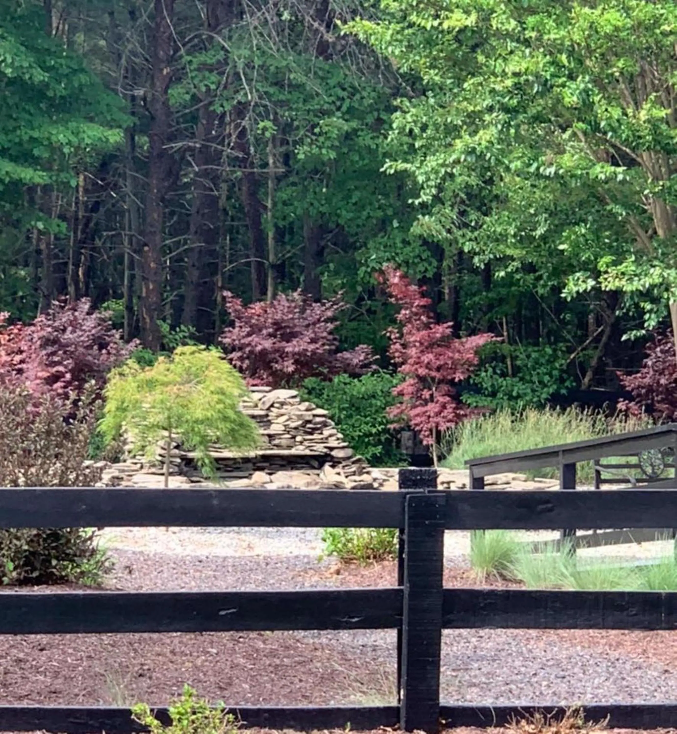 Garden in Shenandoah Wilderness Traveler