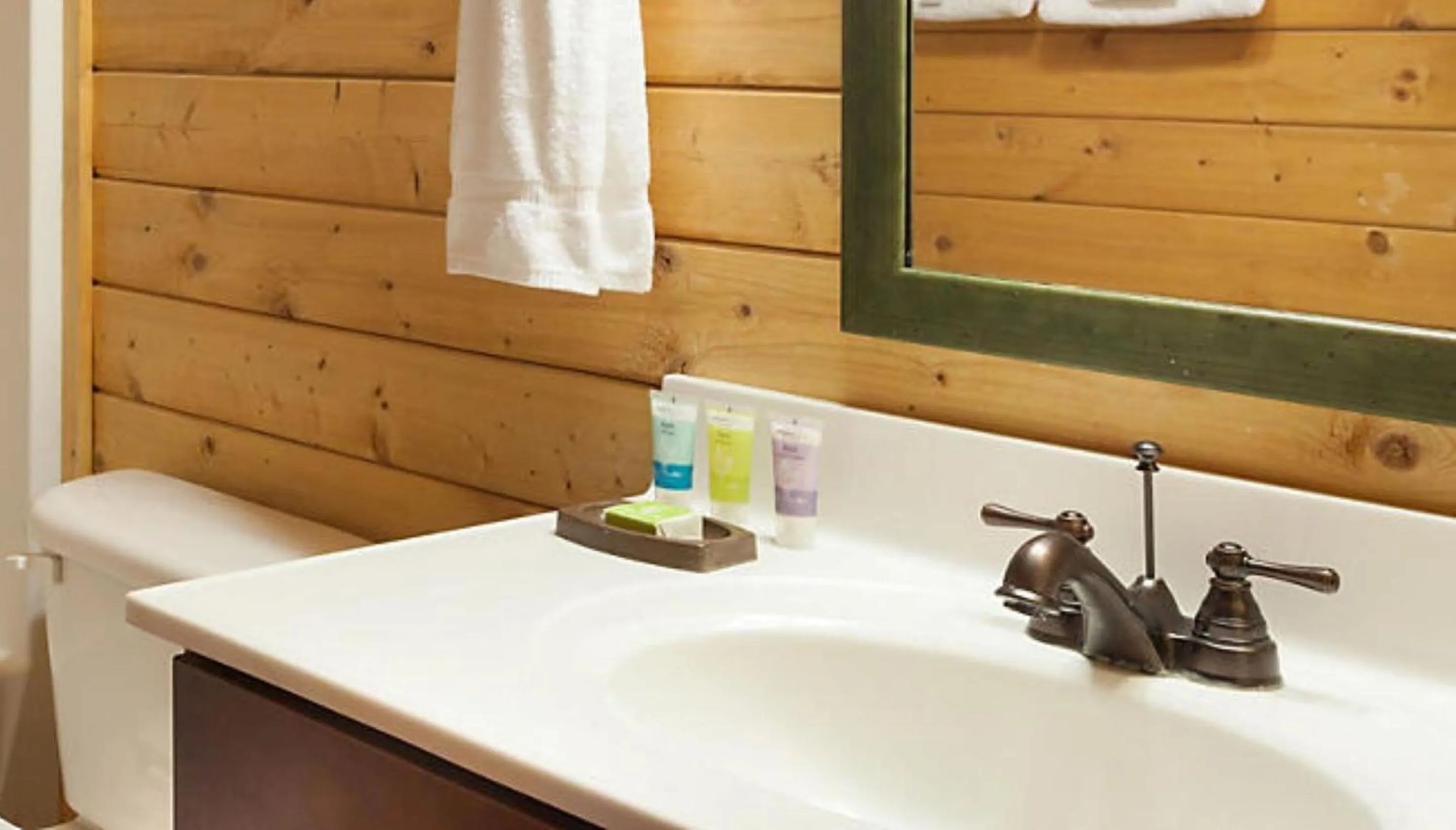 Bathroom in Shenandoah Wilderness Traveler