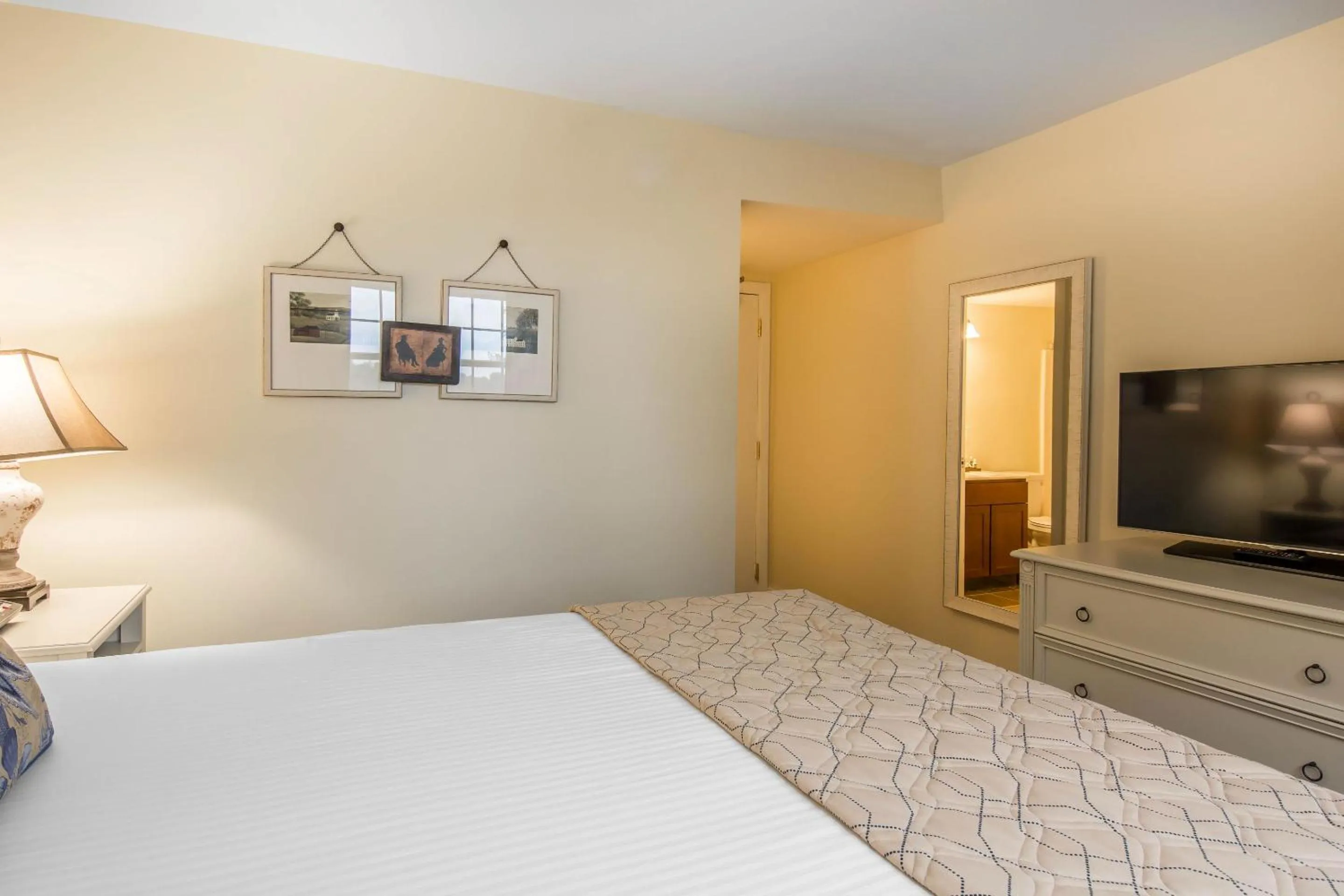 Bed in Shenandoah Wilderness Traveler