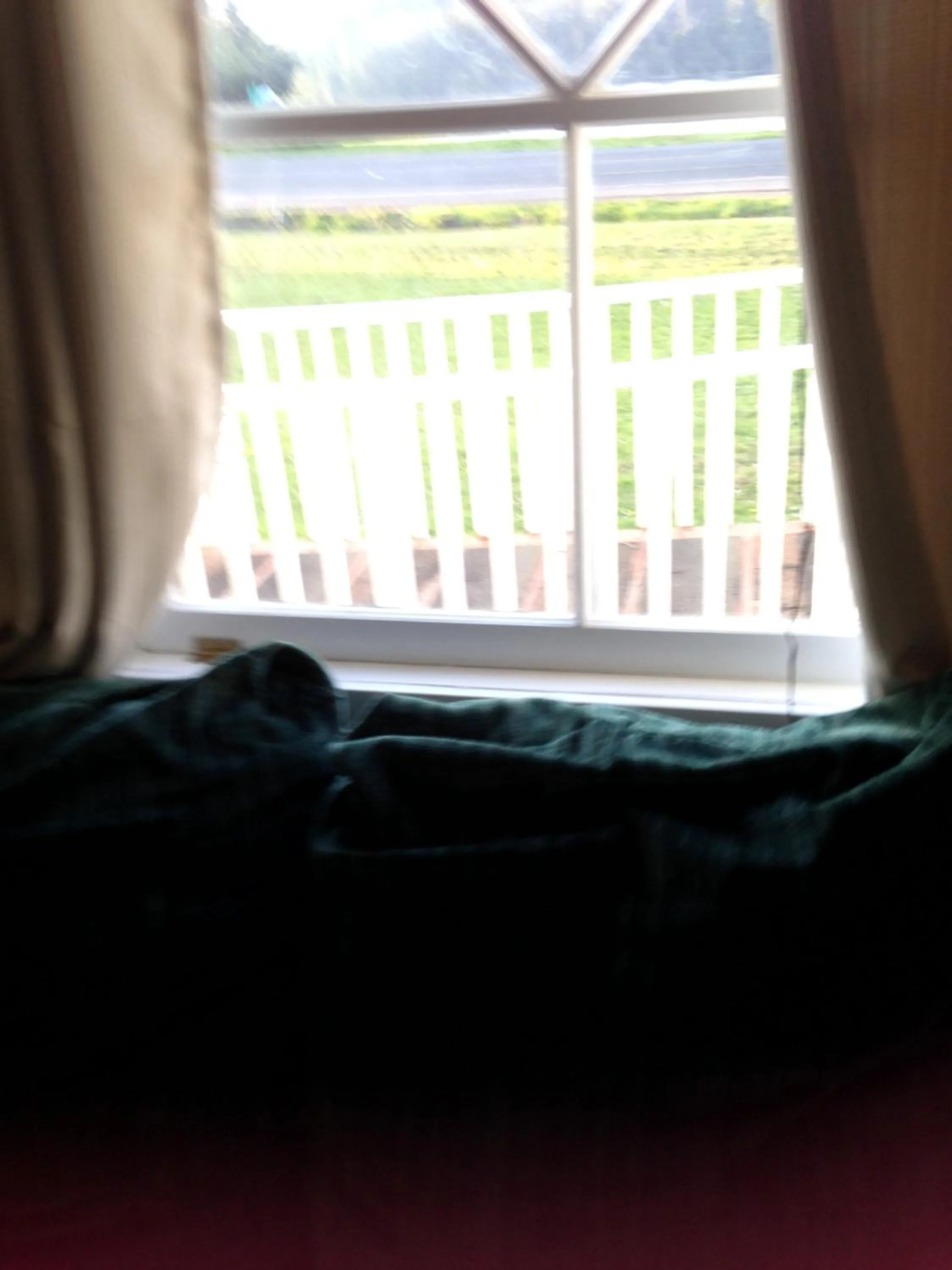 Lake view in Foster Lake Inn