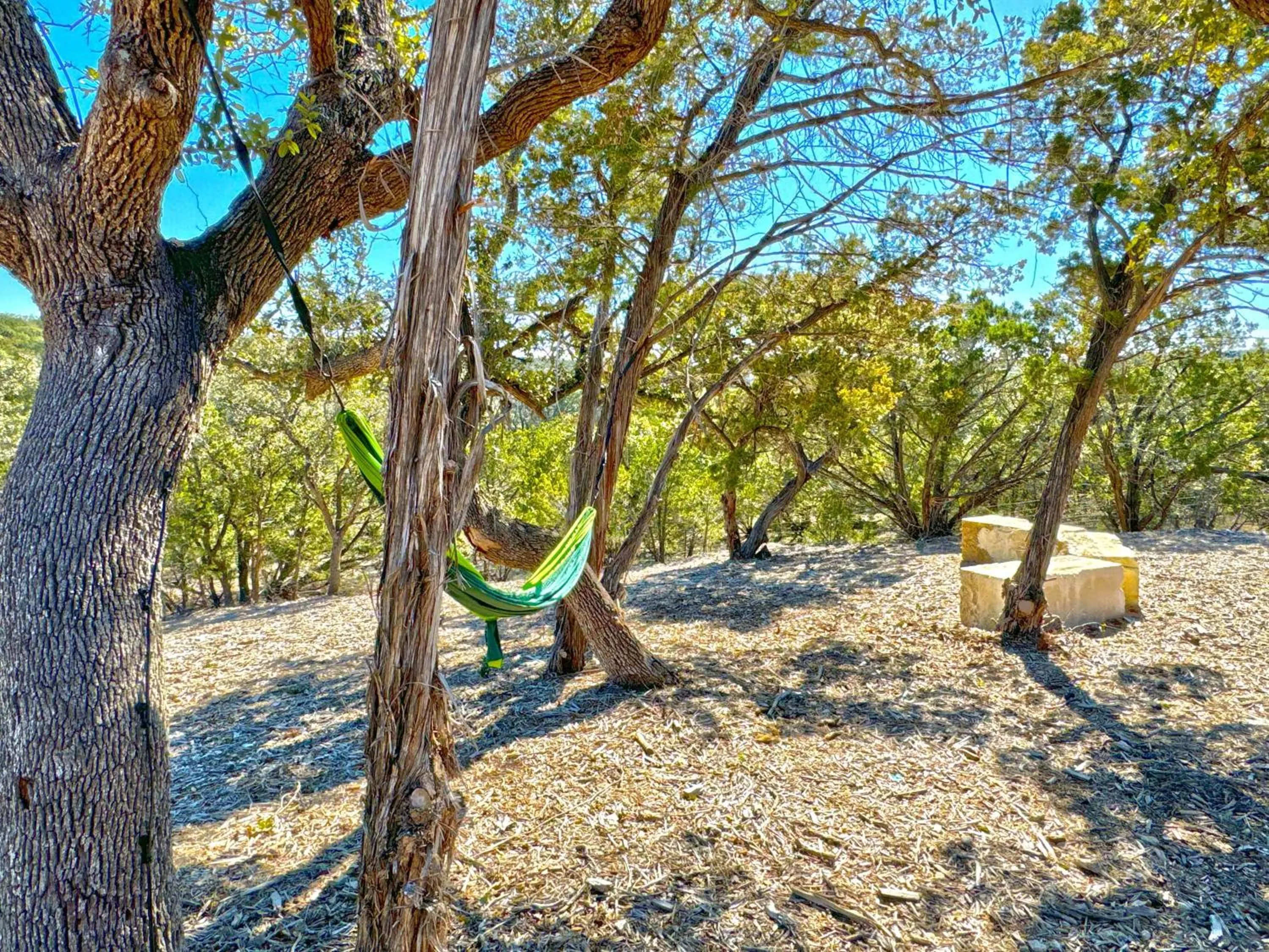 Day in Starlight Horizon