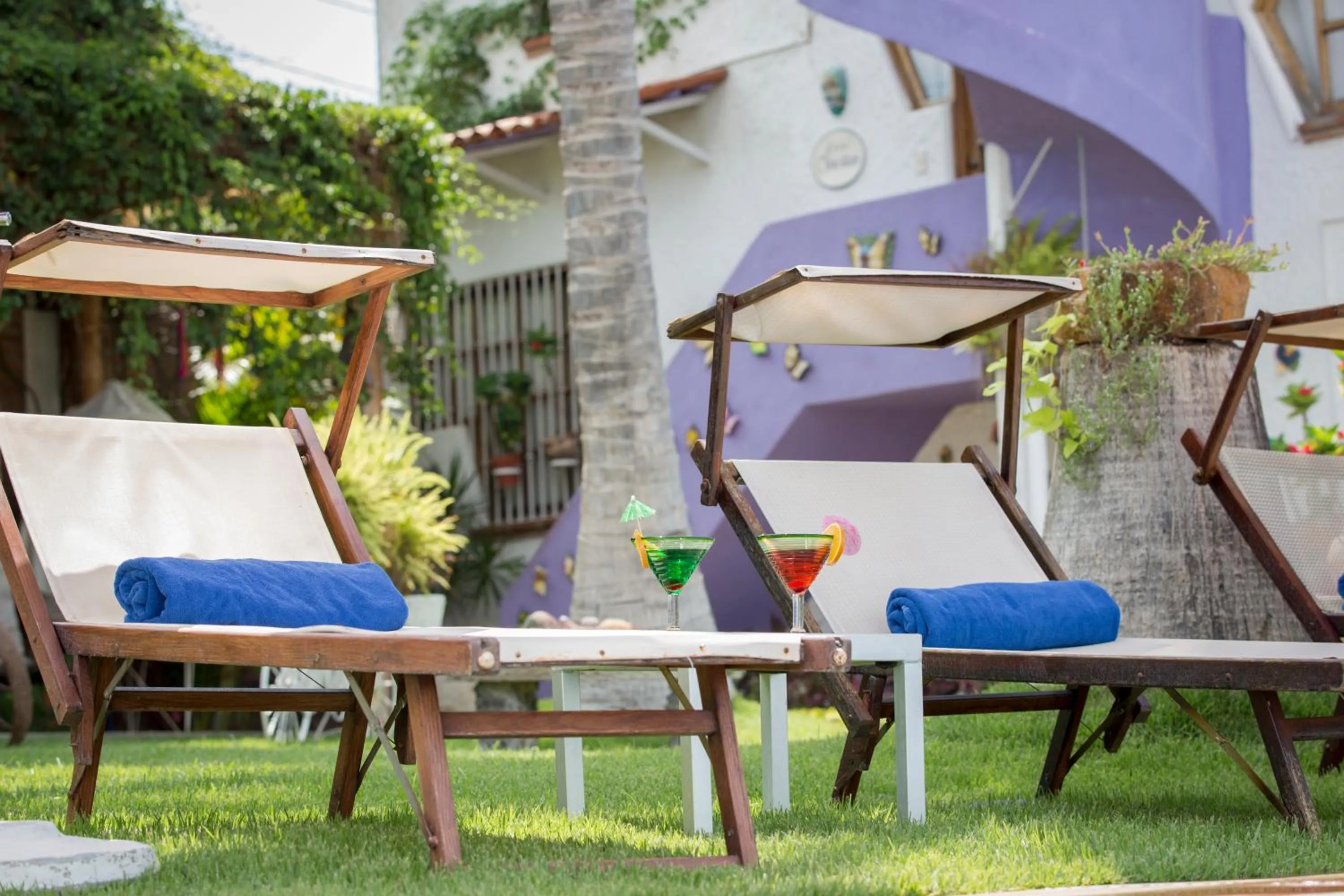 Garden in Villa Bella Bed & Breakfast Inn