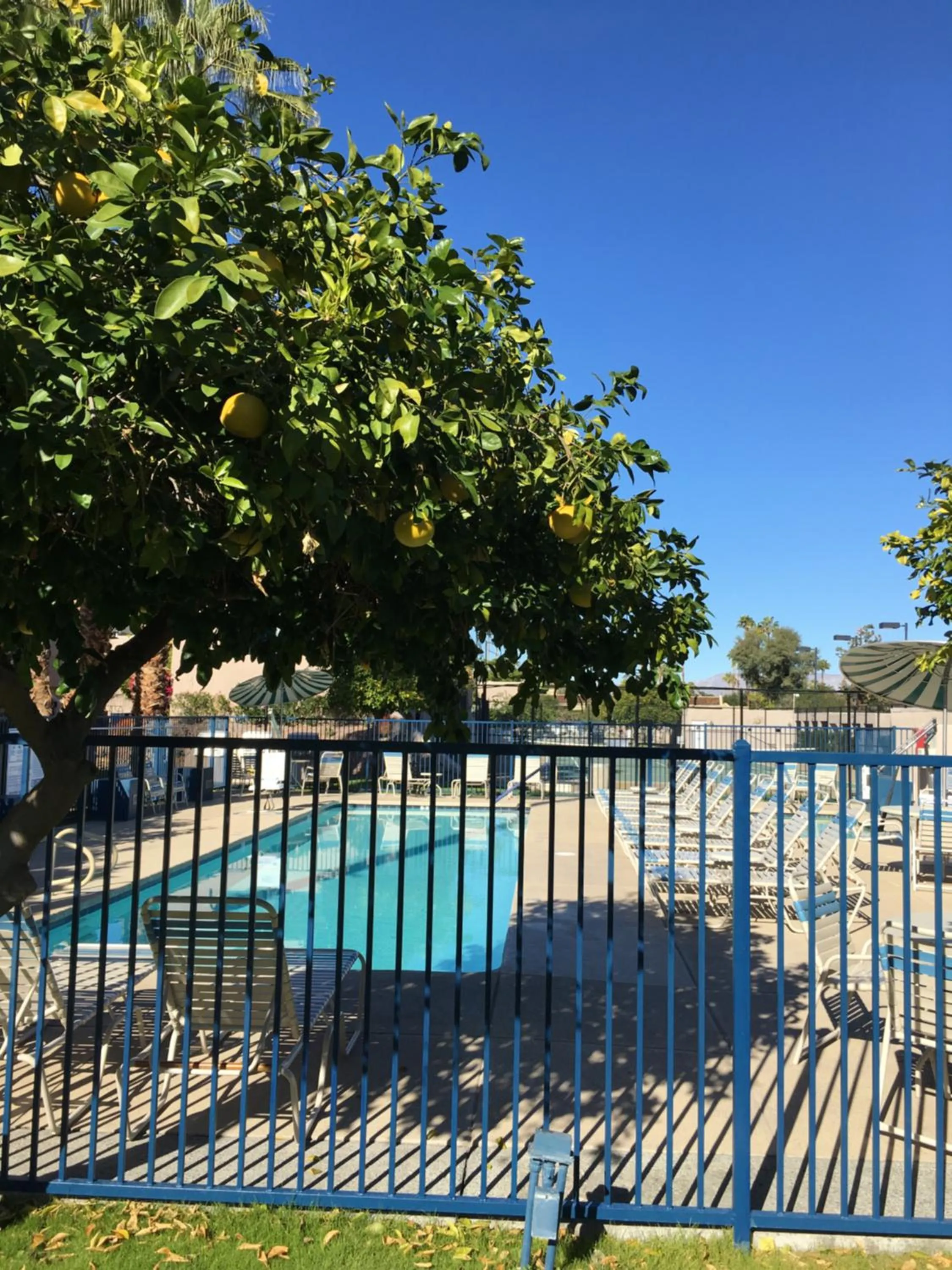 Swimming pool in GetAways at Vista Mirage Resort