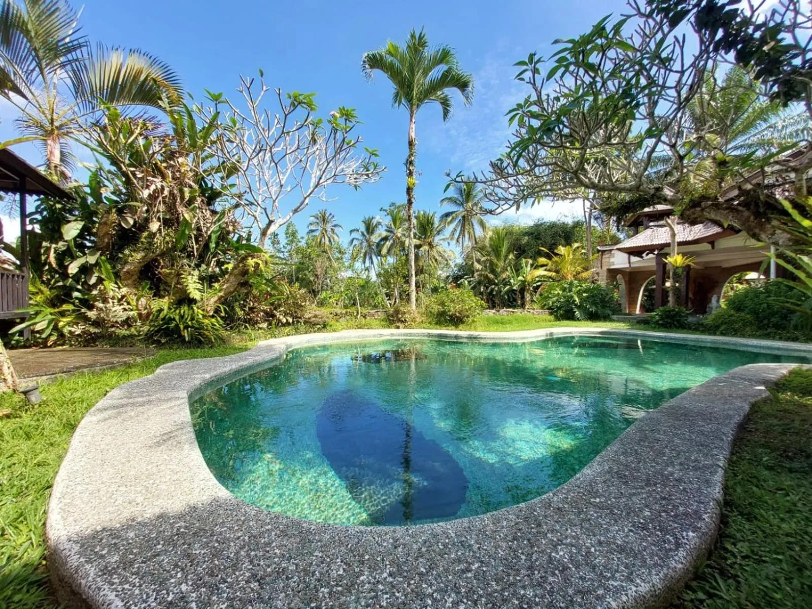 View (from property/room) in Dzawani Ubud