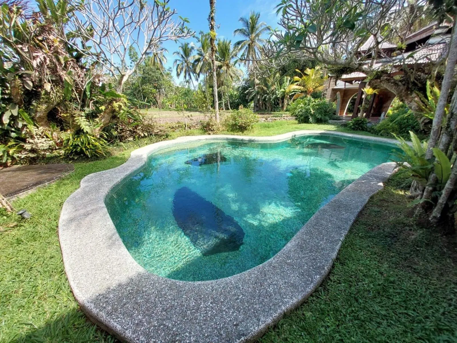 View (from property/room) in Dzawani Ubud