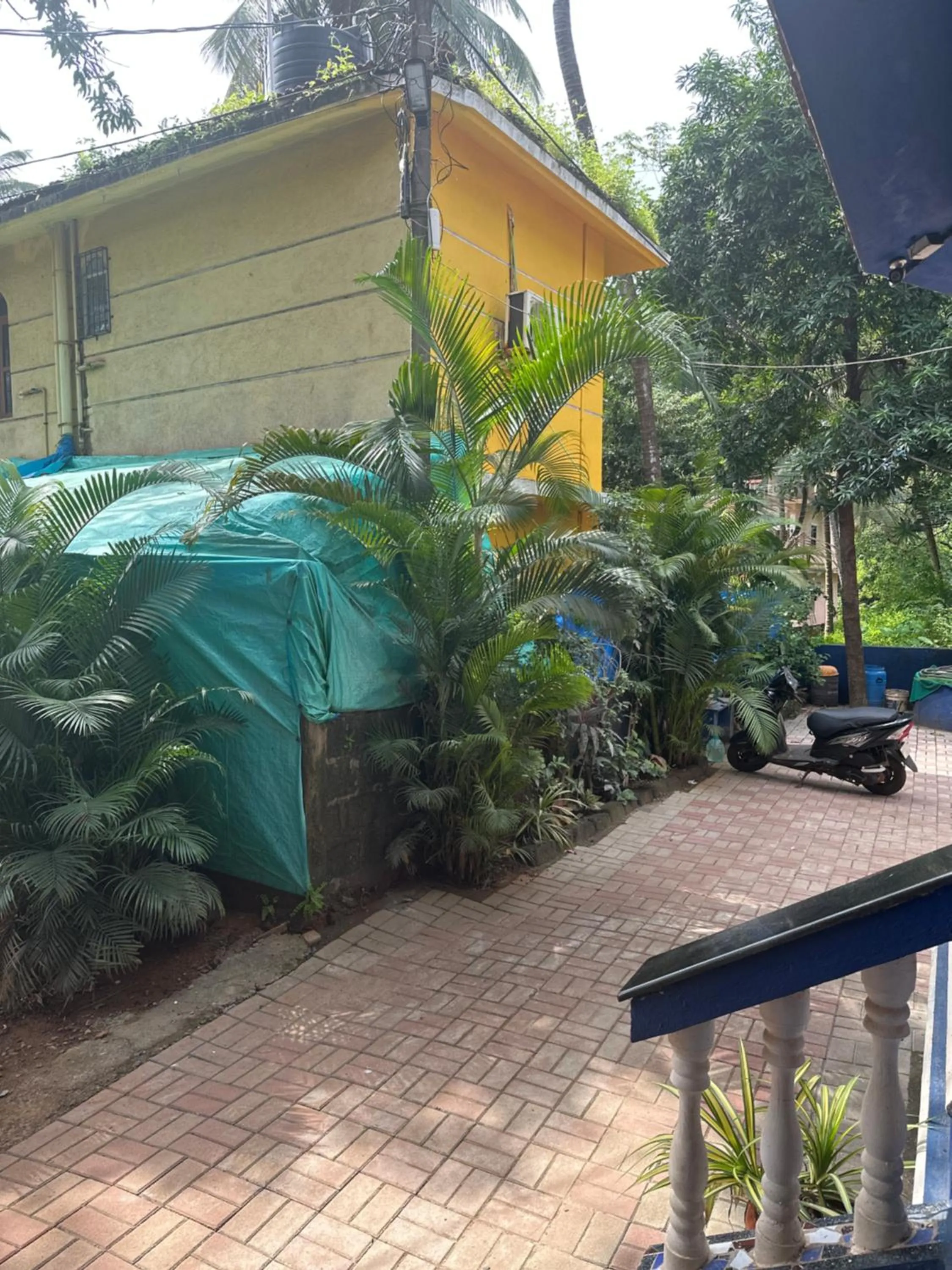Garden in Casa De Calangute Hotel