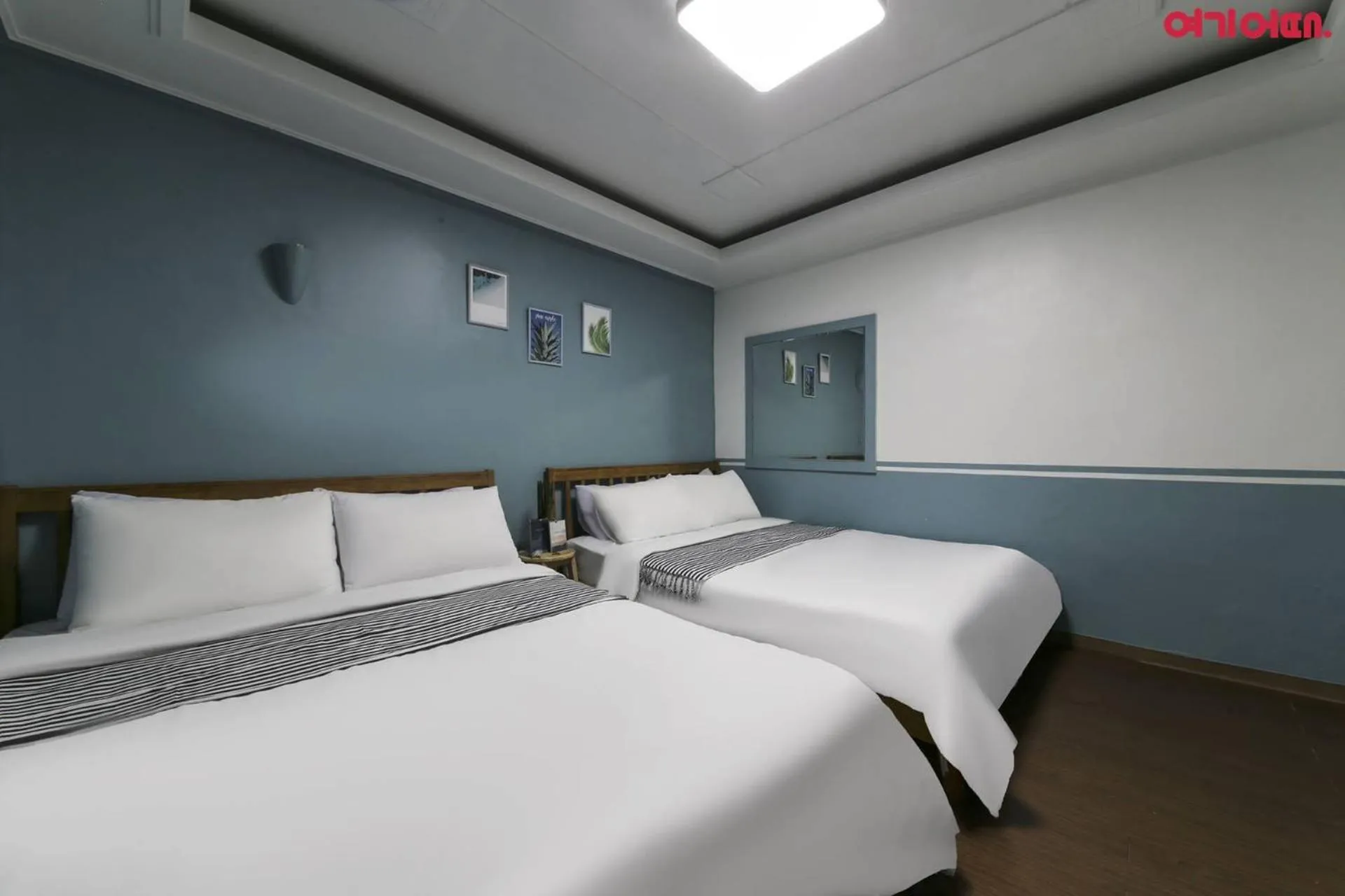 Bed in Sinchon Sisters Hostel