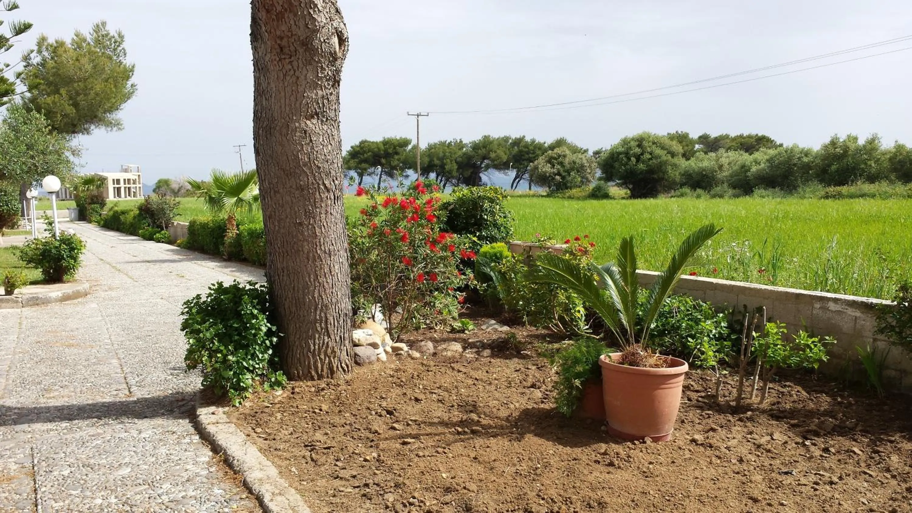 Garden in Blue Nest Hotel
