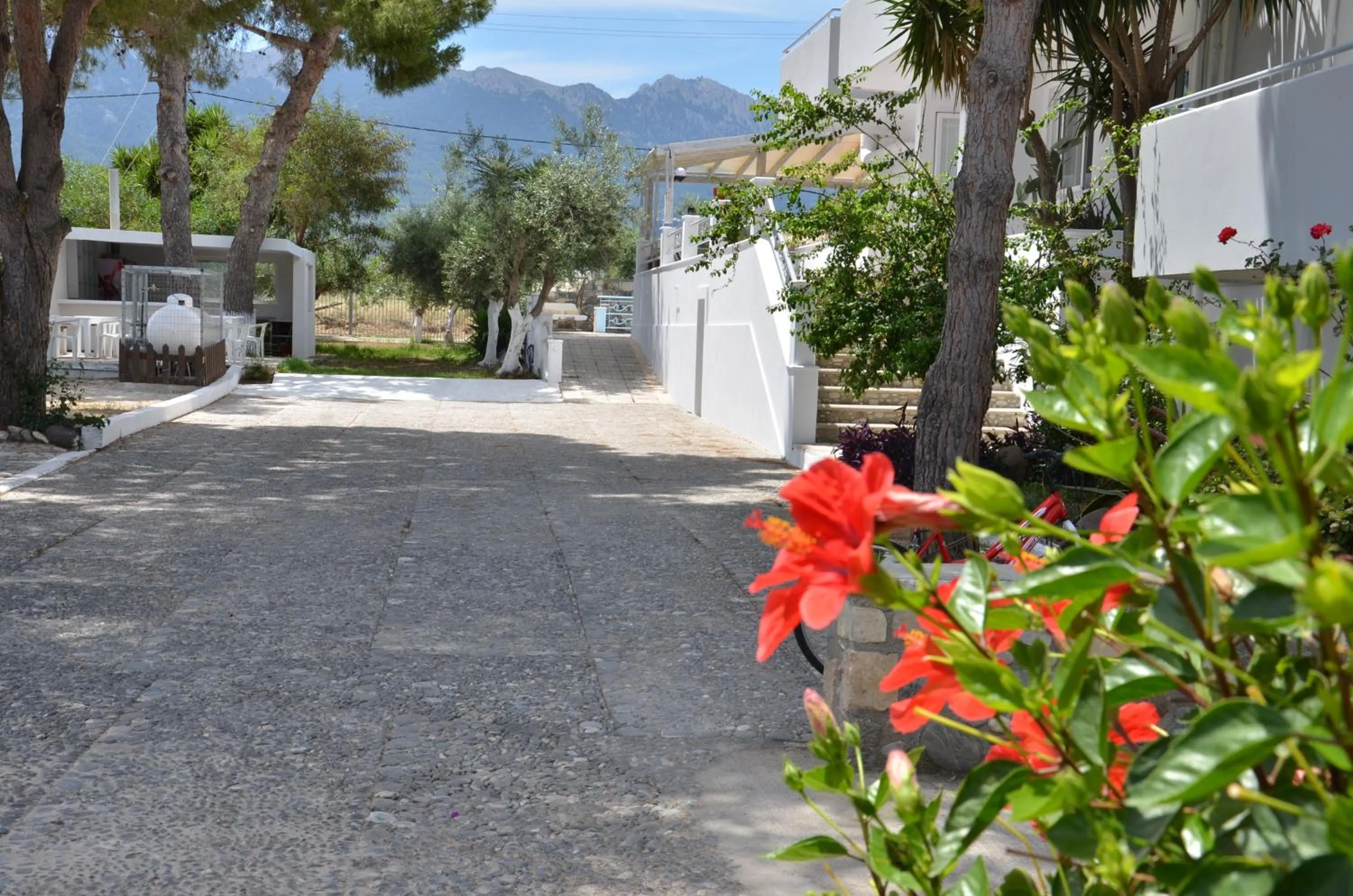 Garden in Blue Nest Hotel