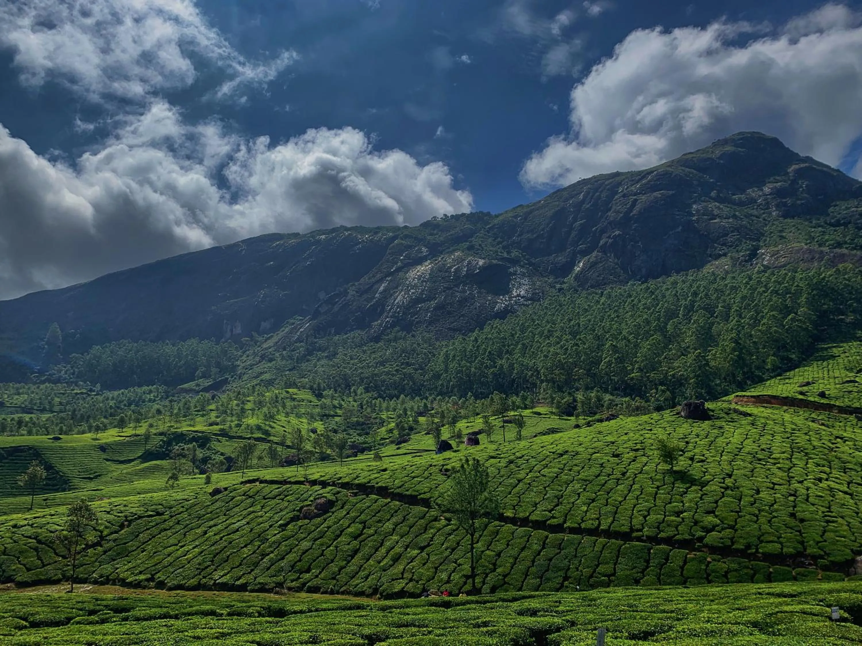 Nearby landmark in Lockhart Bungalow Munnar - A CGH Earth SAHA Experience