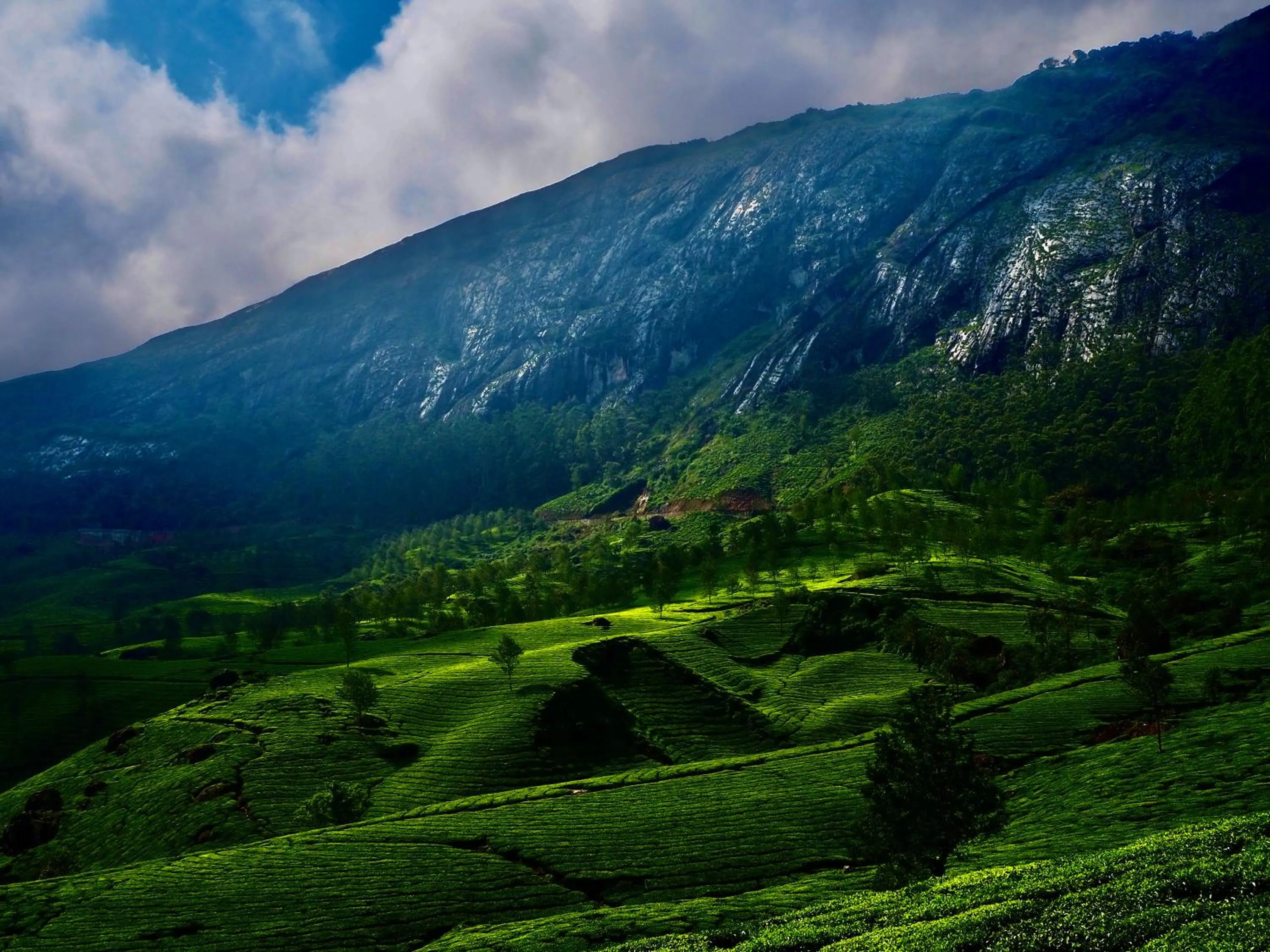 Nearby landmark in Lockhart Bungalow Munnar - A CGH Earth SAHA Experience