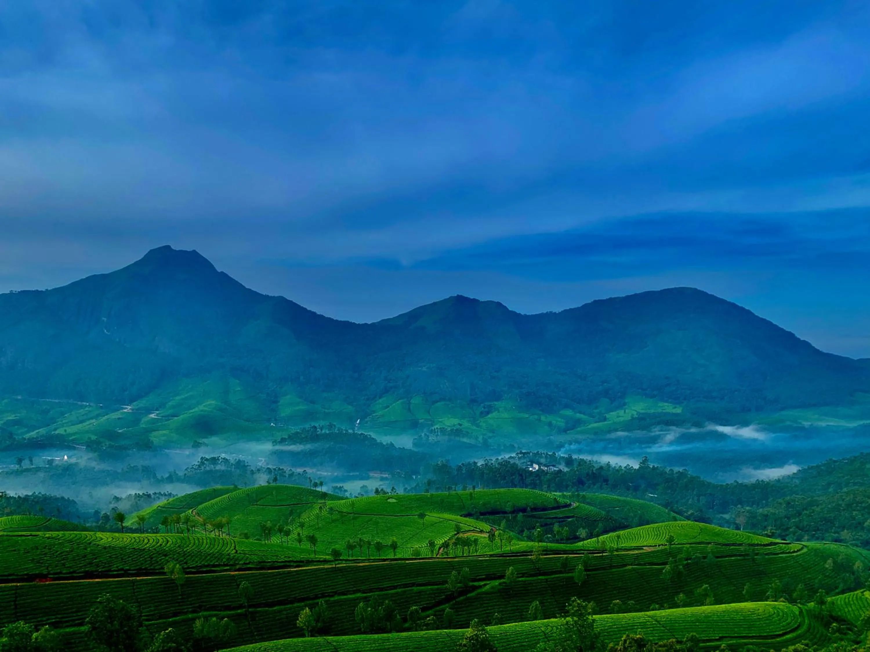 Nearby landmark in Lockhart Bungalow Munnar - A CGH Earth SAHA Experience