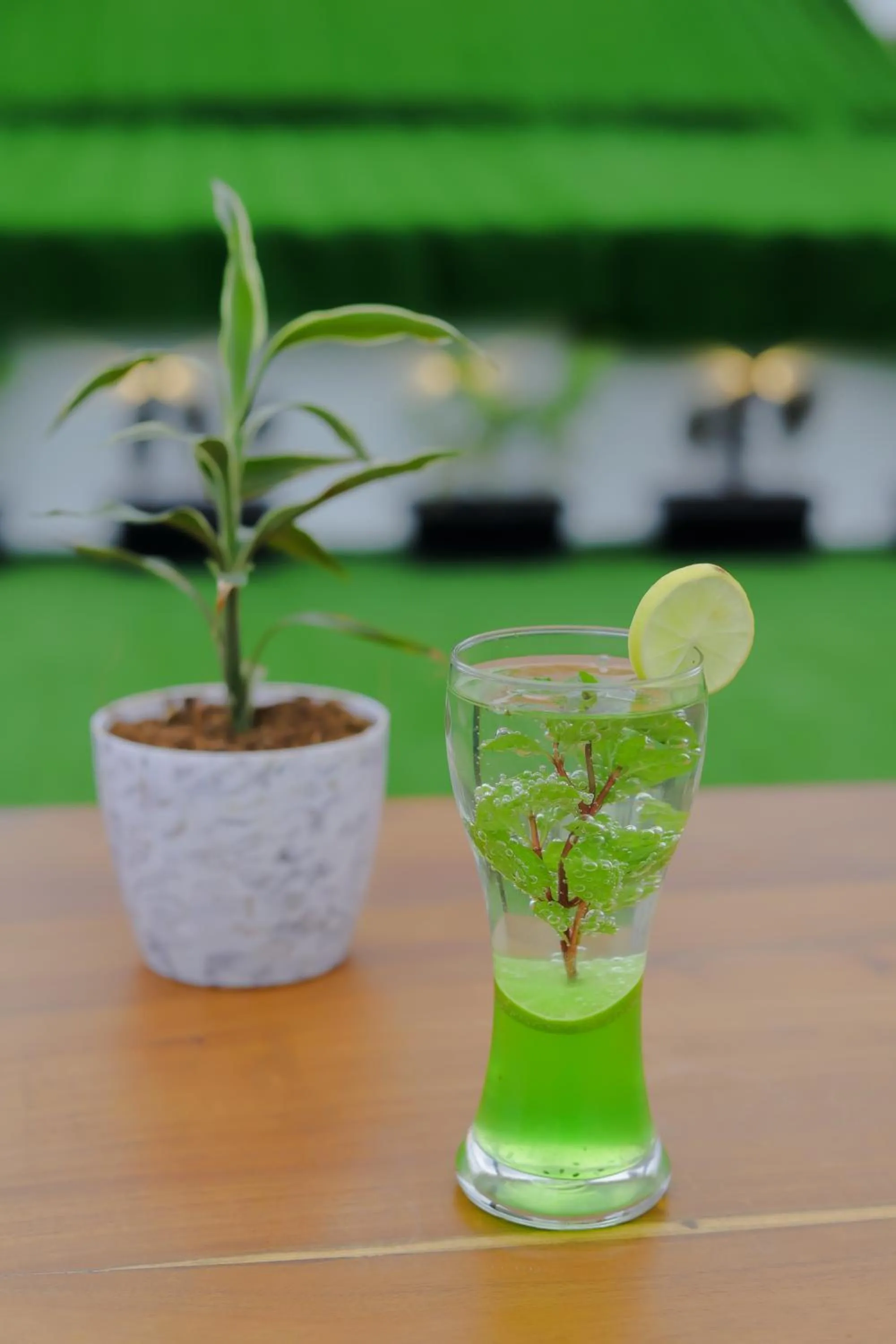 Lounge or bar in Hotel Royal Accord