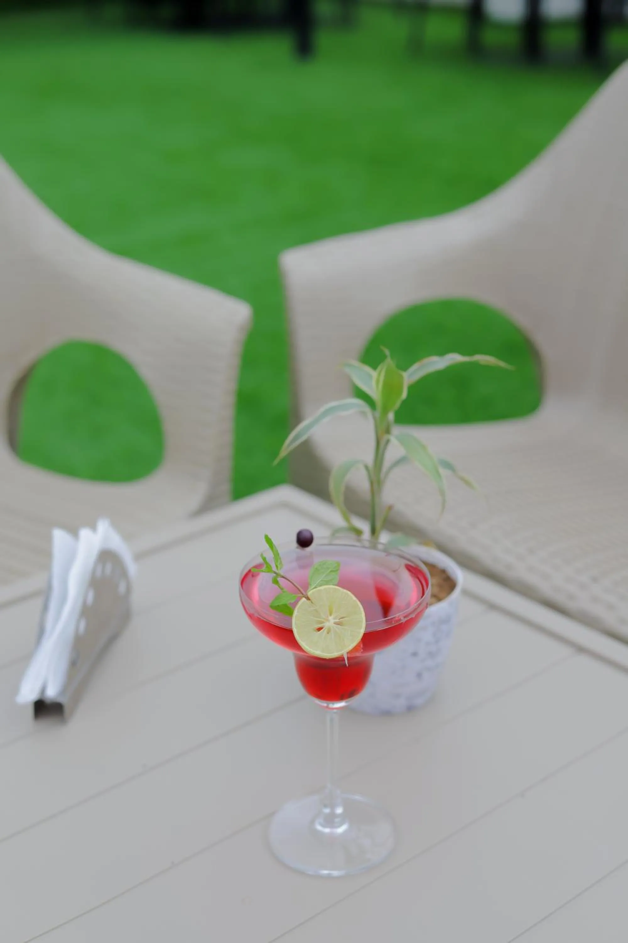 Lounge or bar in Hotel Royal Accord