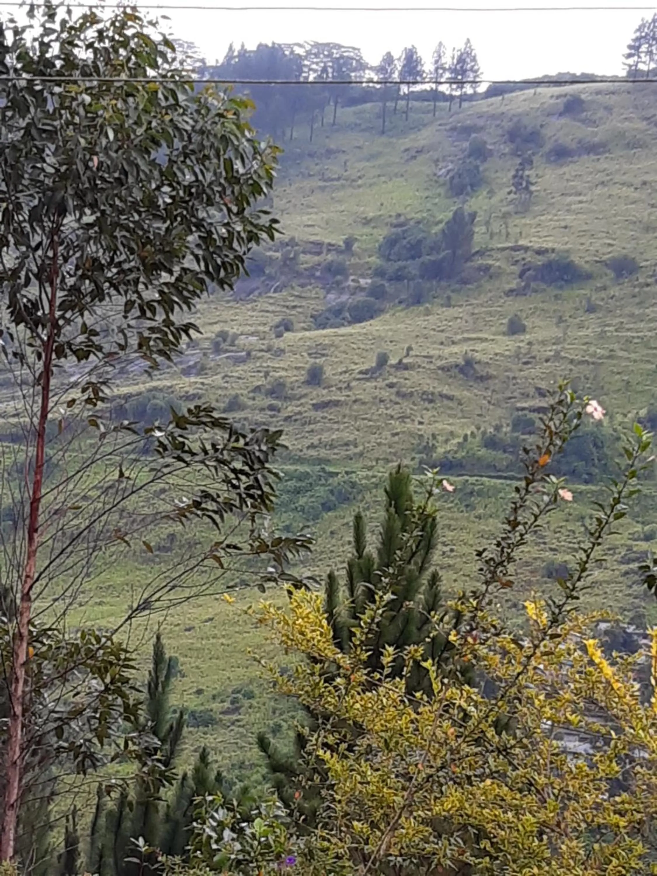 Lassana Holiday Bungalow