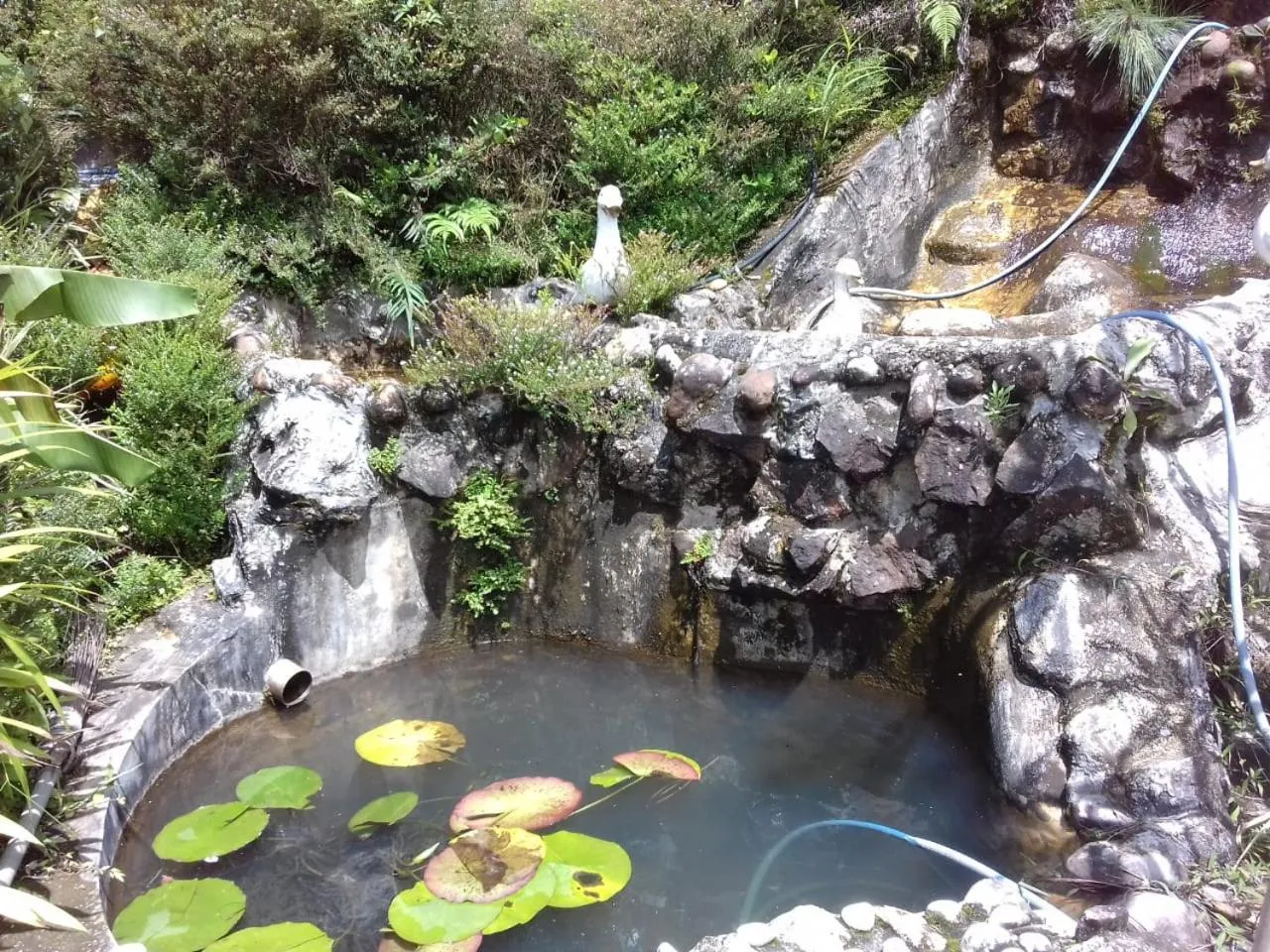 Lassana Holiday Bungalow