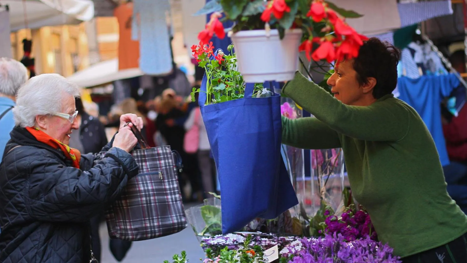 Shopping Area in Bed & Breakfast La Rosa dei Venti