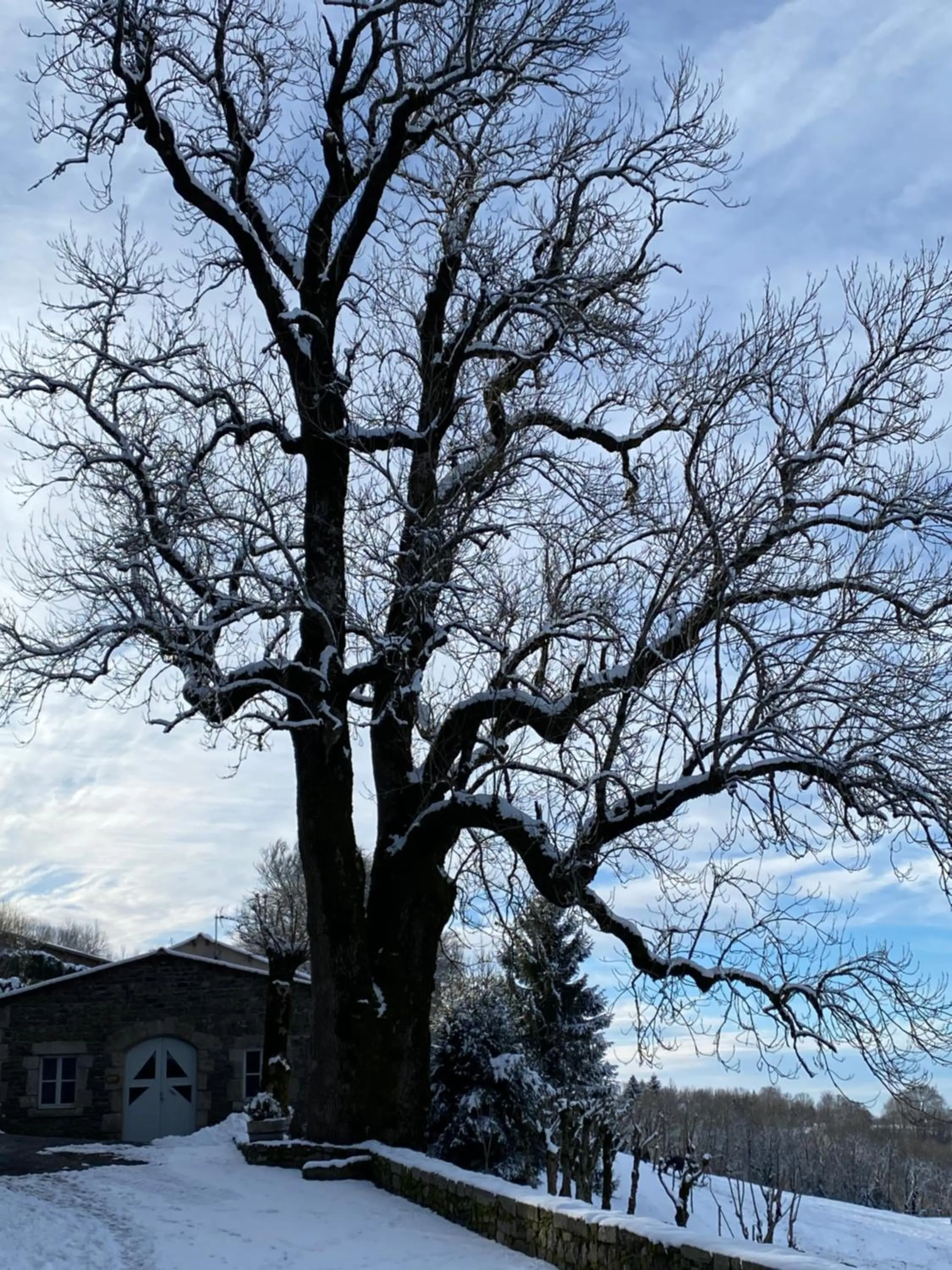 Château du Puech en Aubrac