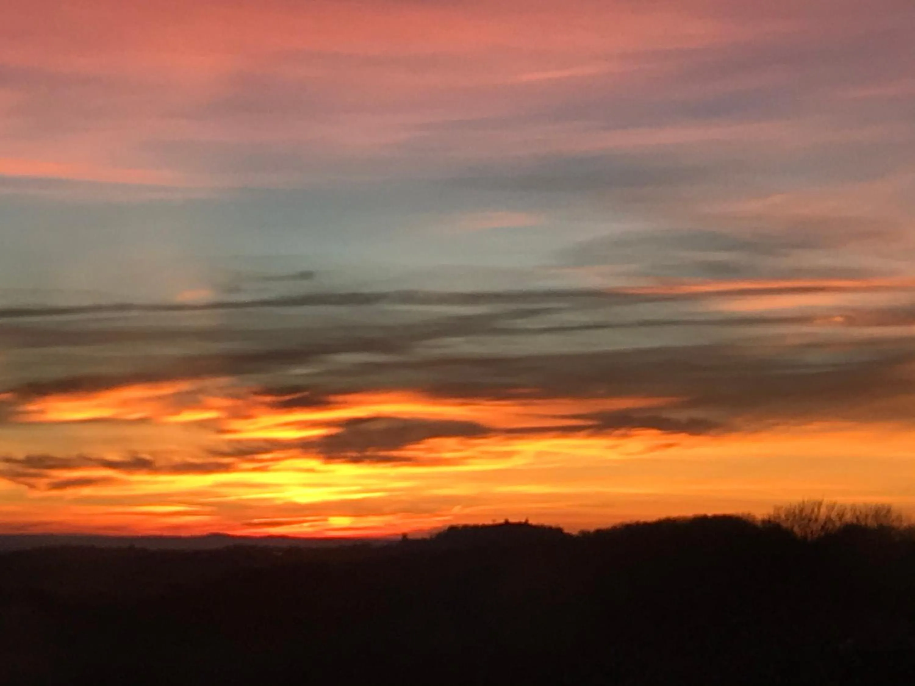 View (from property/room) in Château du Puech