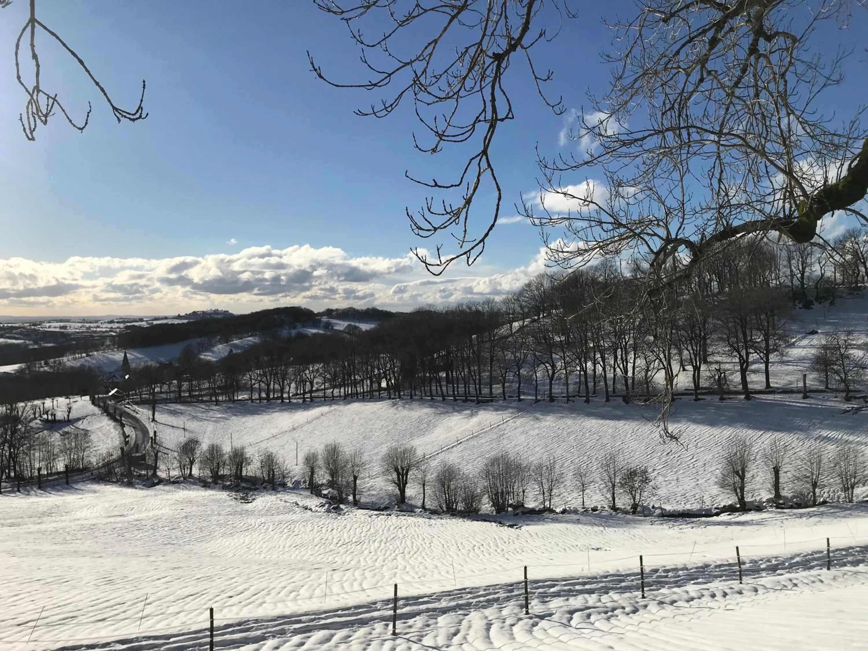 Natural landscape in Château du Puech