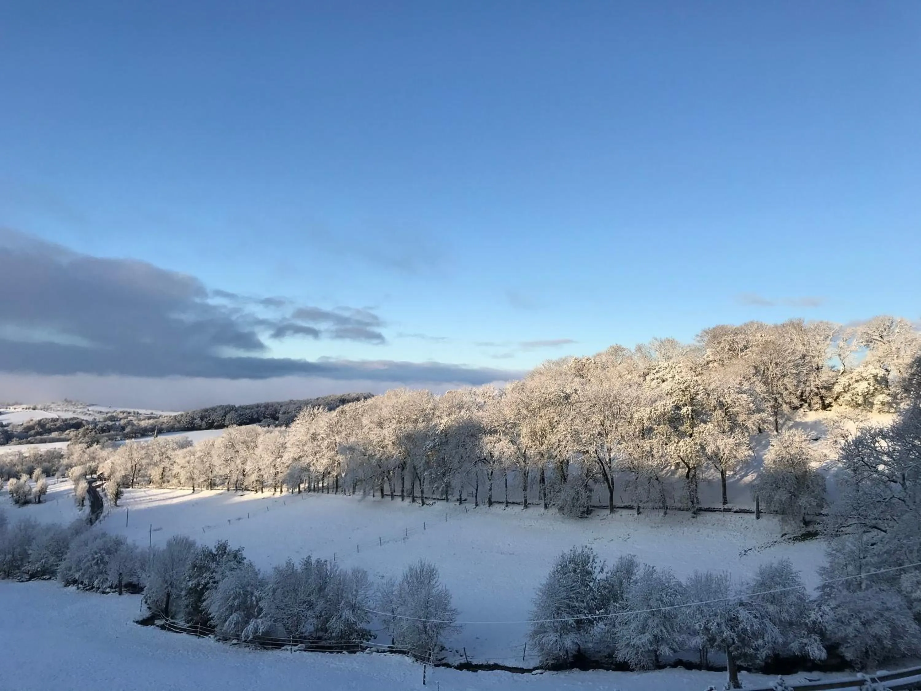 Natural landscape in Château du Puech
